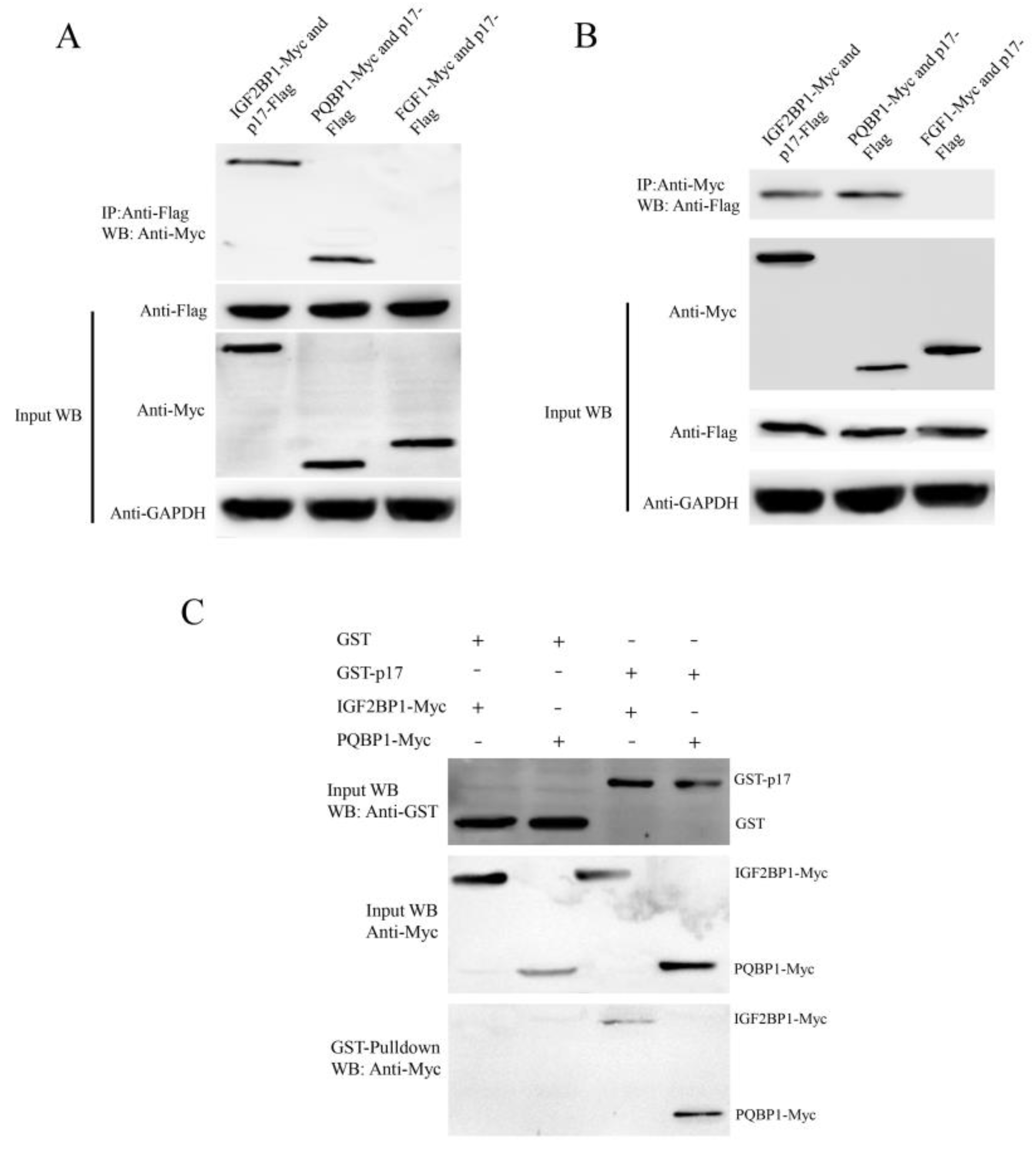 Viruses 14 00892 g005 Viruses 14 00892 g005