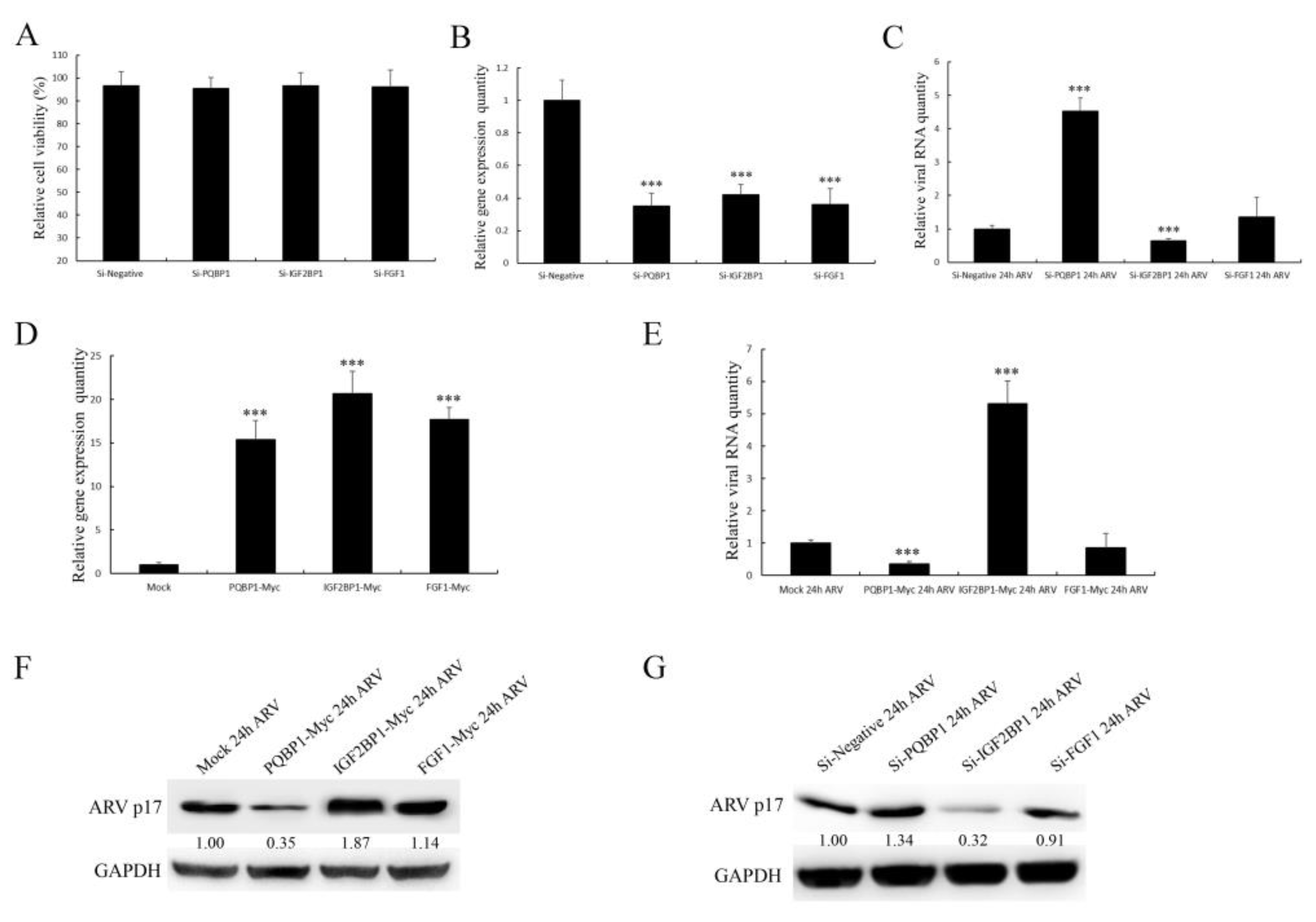 Viruses 14 00892 g007 Viruses 14 00892 g007