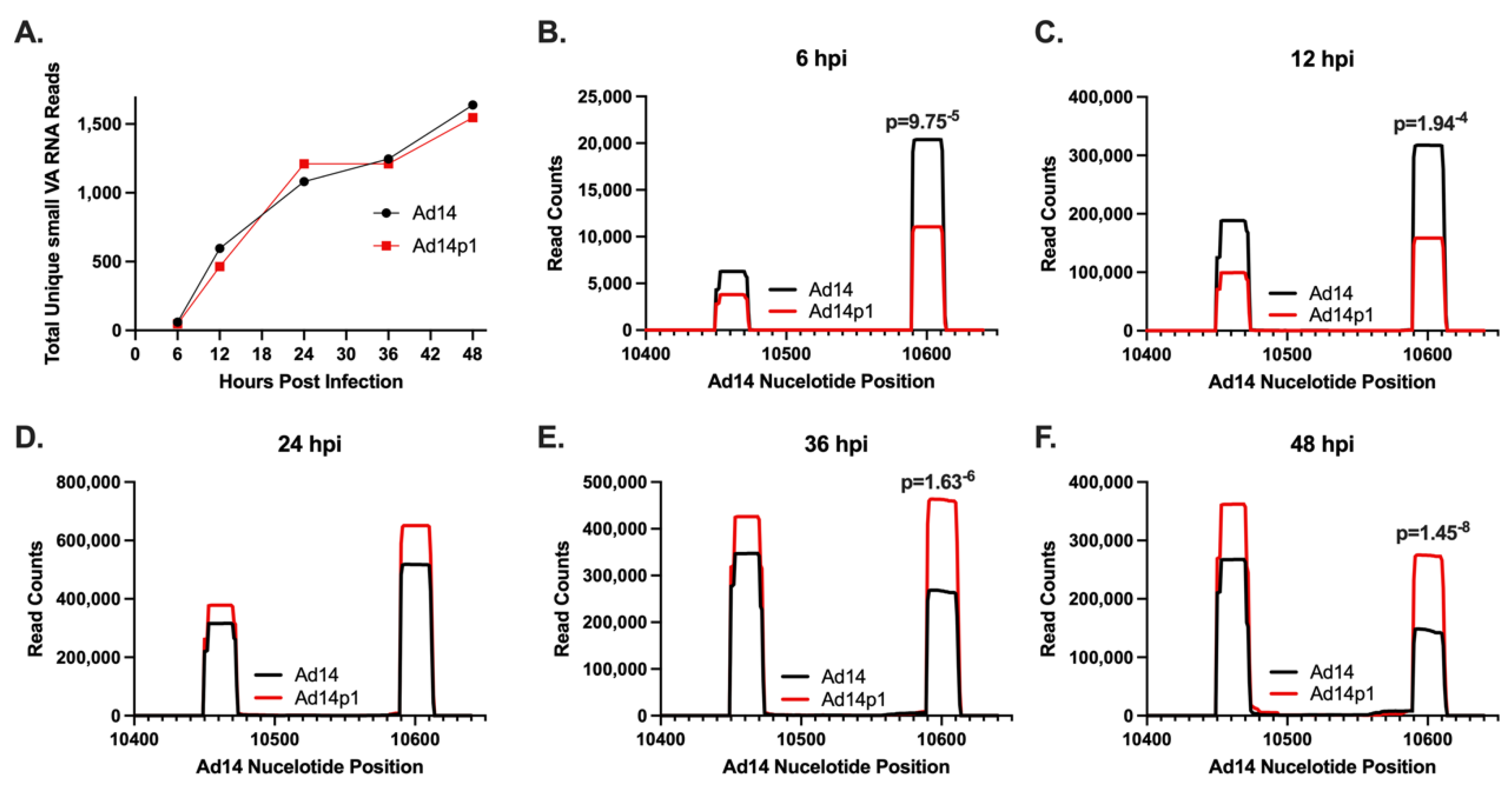 Viruses 14 00898 g003