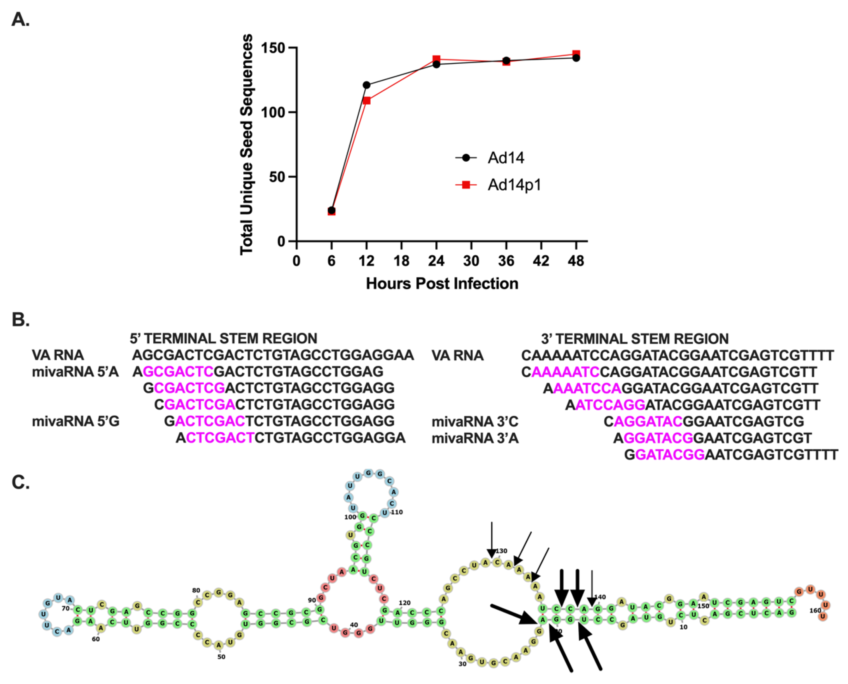 Viruses 14 00898 g004