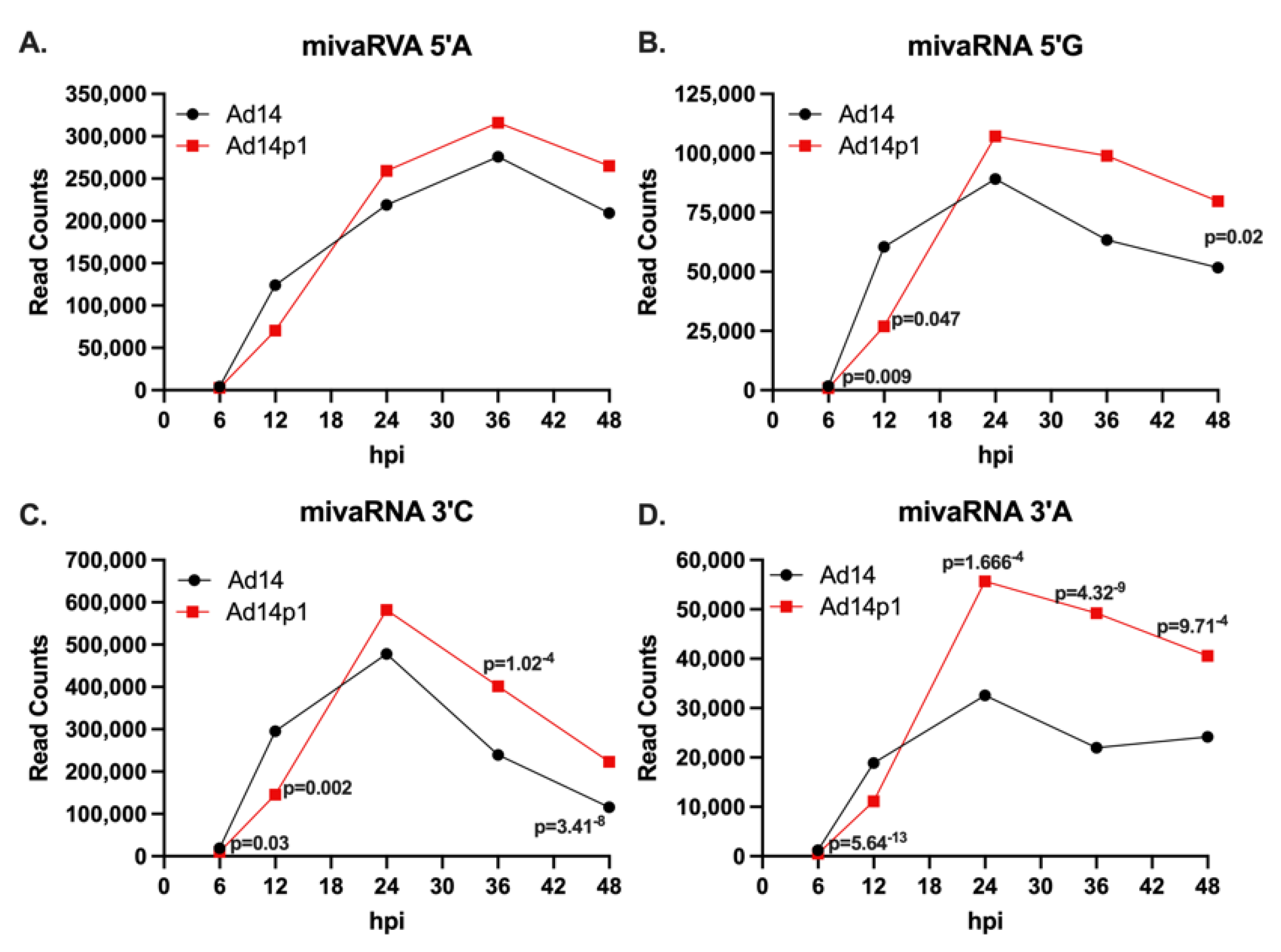 Viruses 14 00898 g005