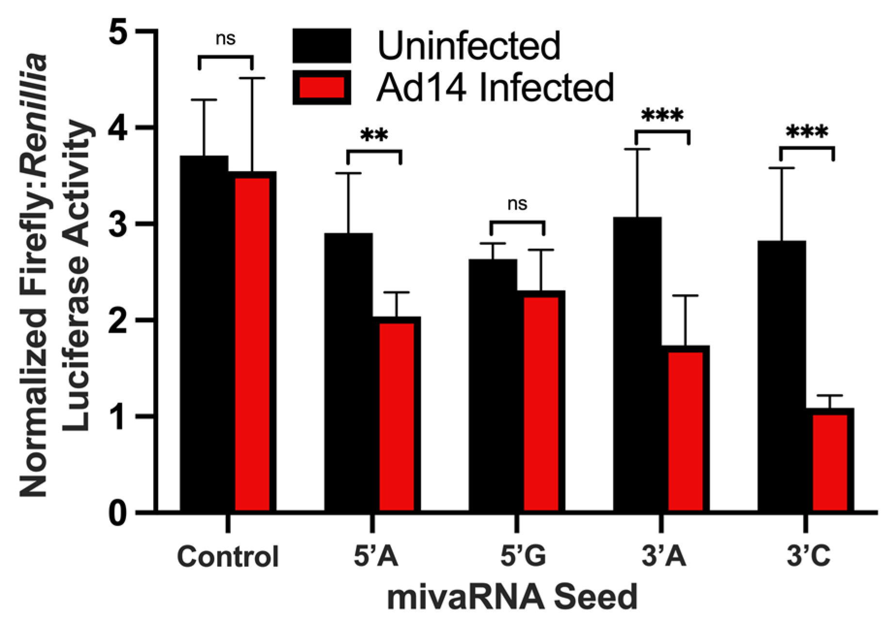 Viruses 14 00898 g006