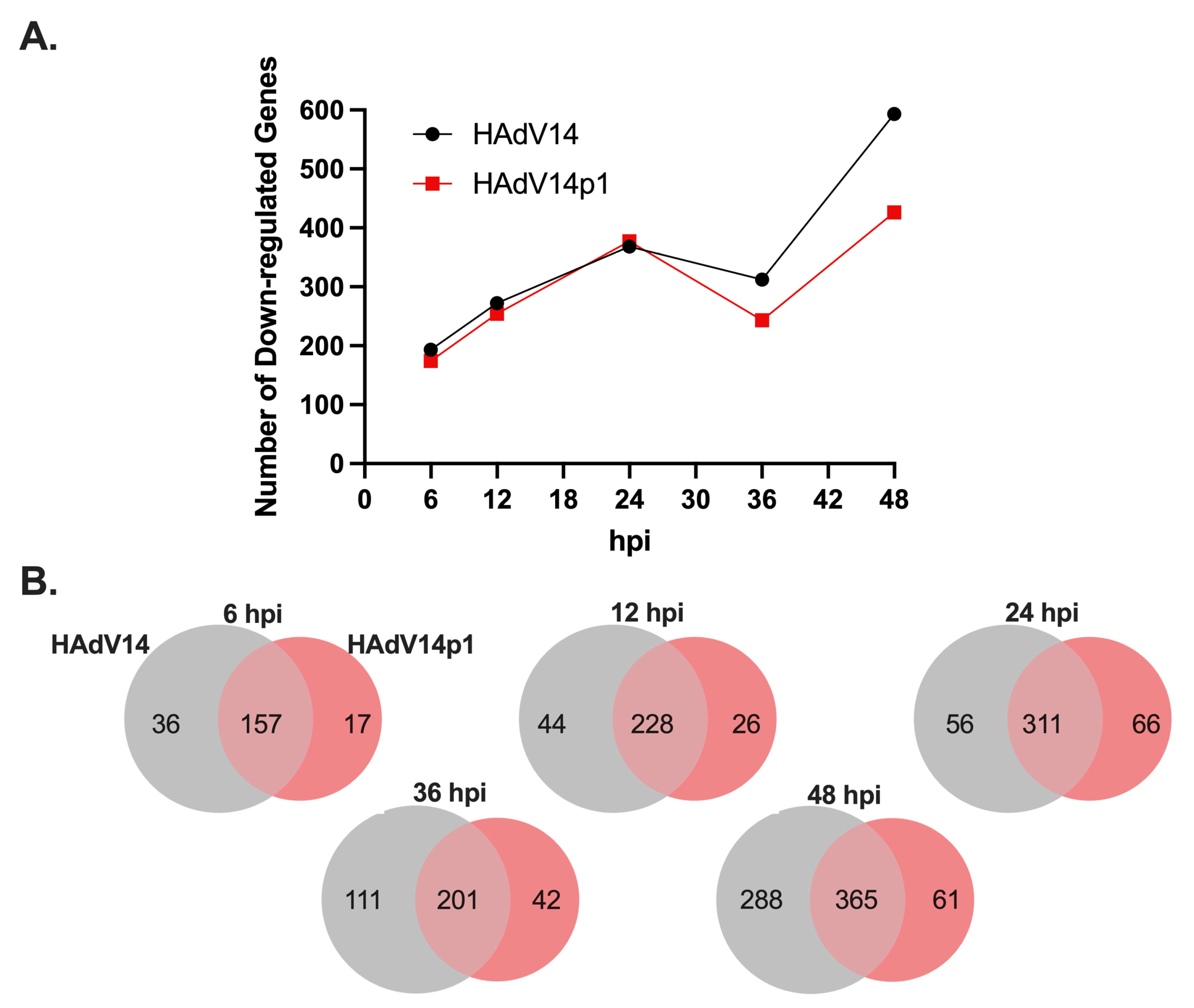 Viruses 14 00898 g007