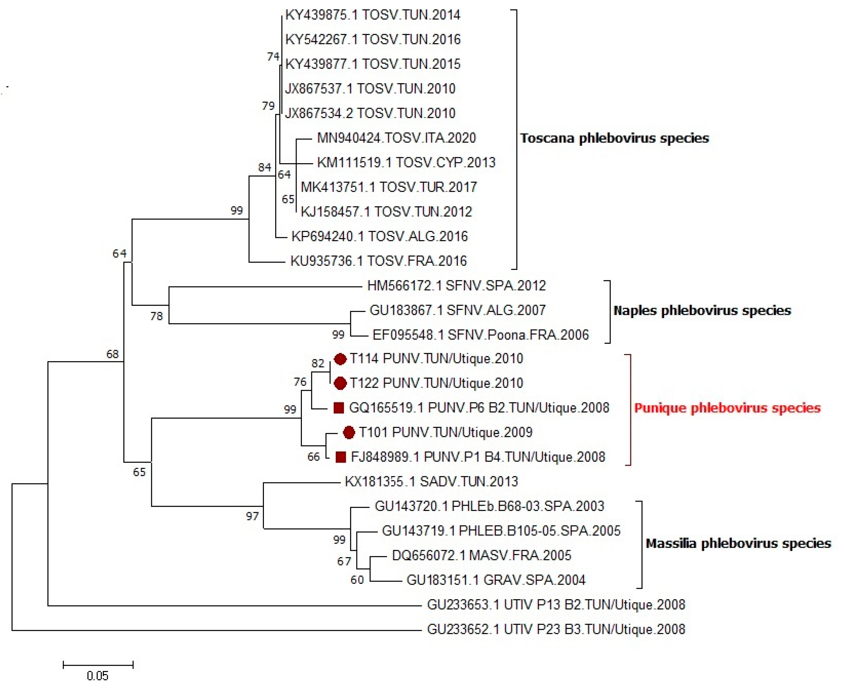 Viruses 14 00904 g002 Viruses 14 00904 g002