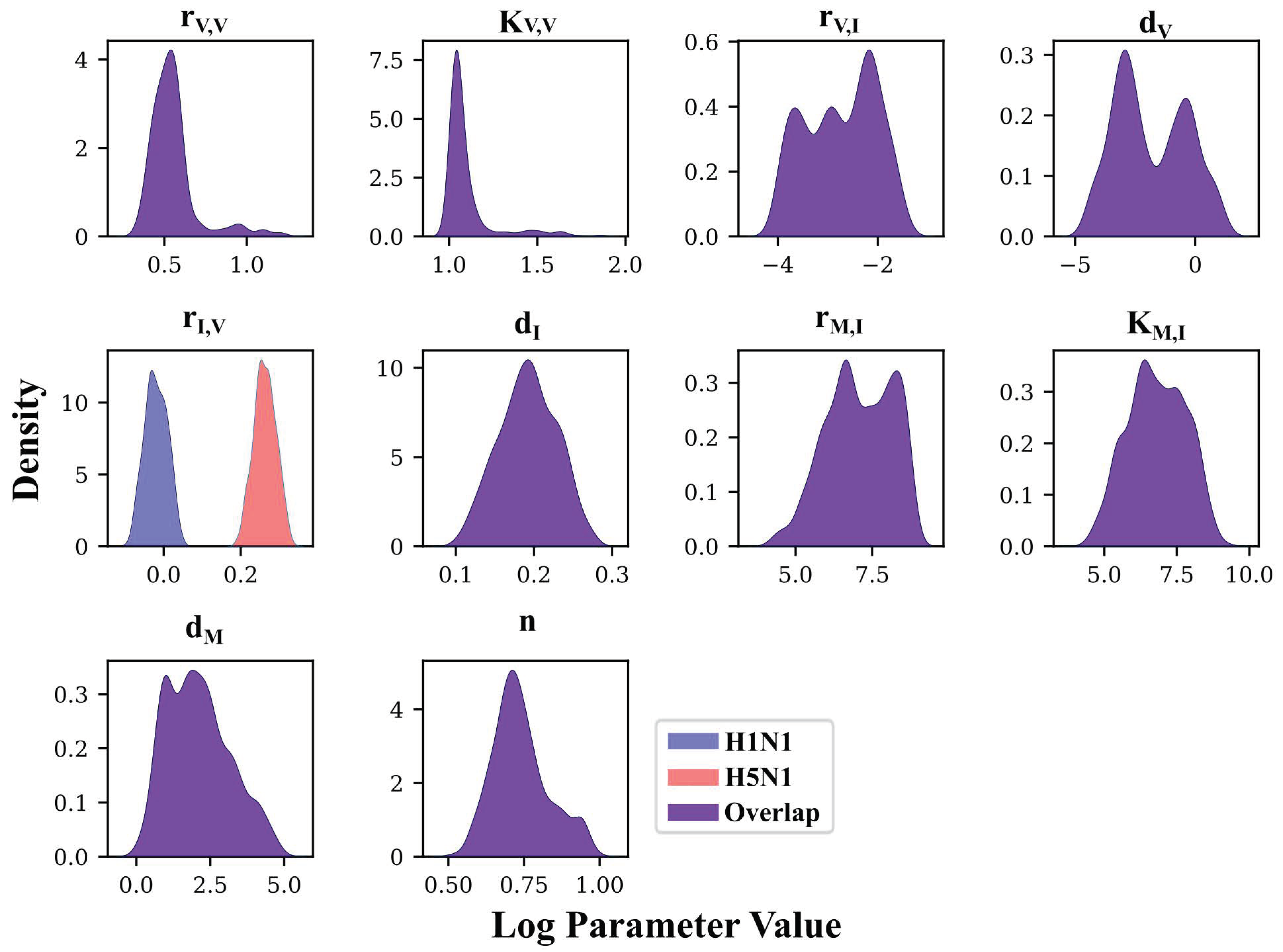 Viruses 14 00906 g006