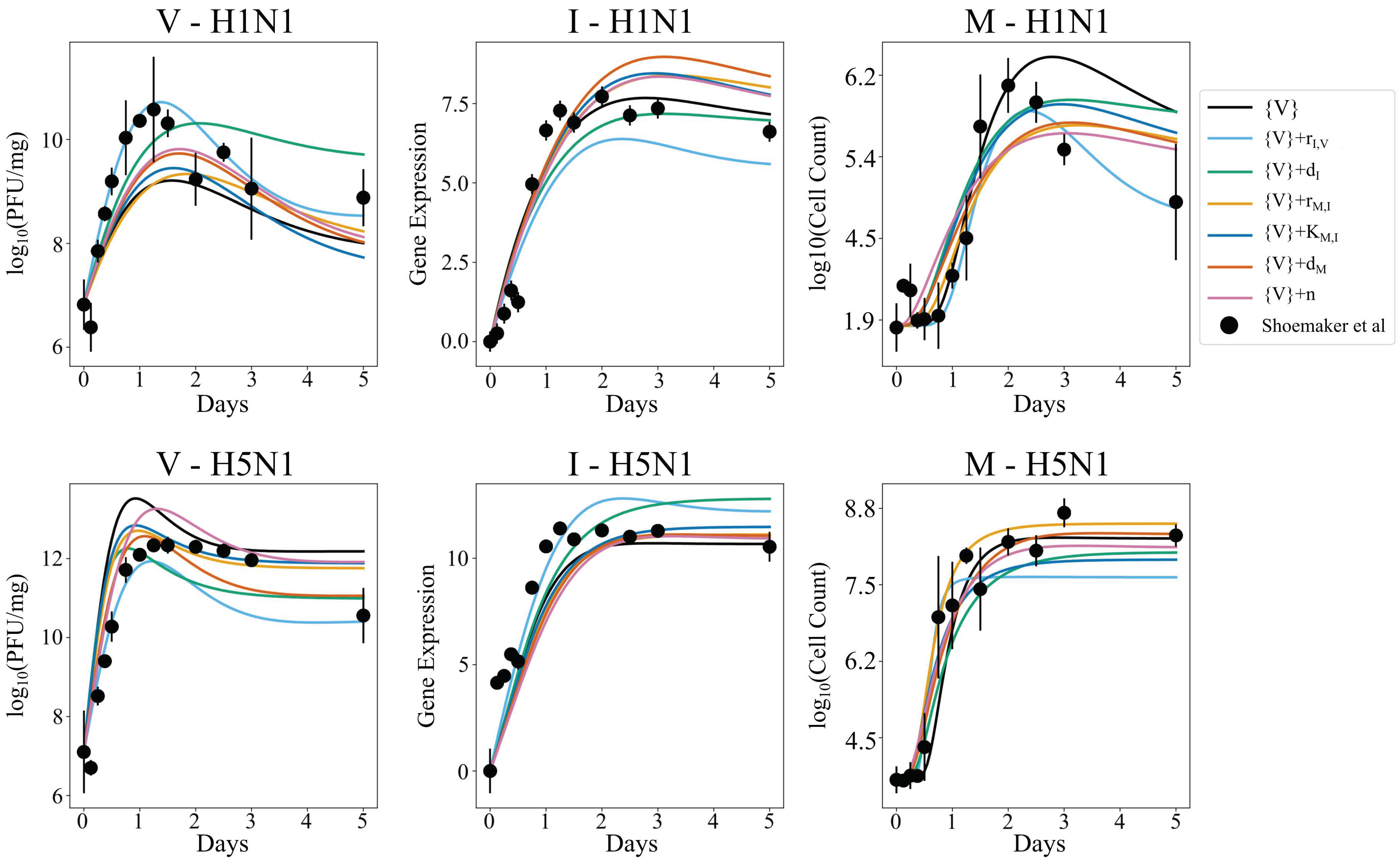 Viruses 14 00906 g007