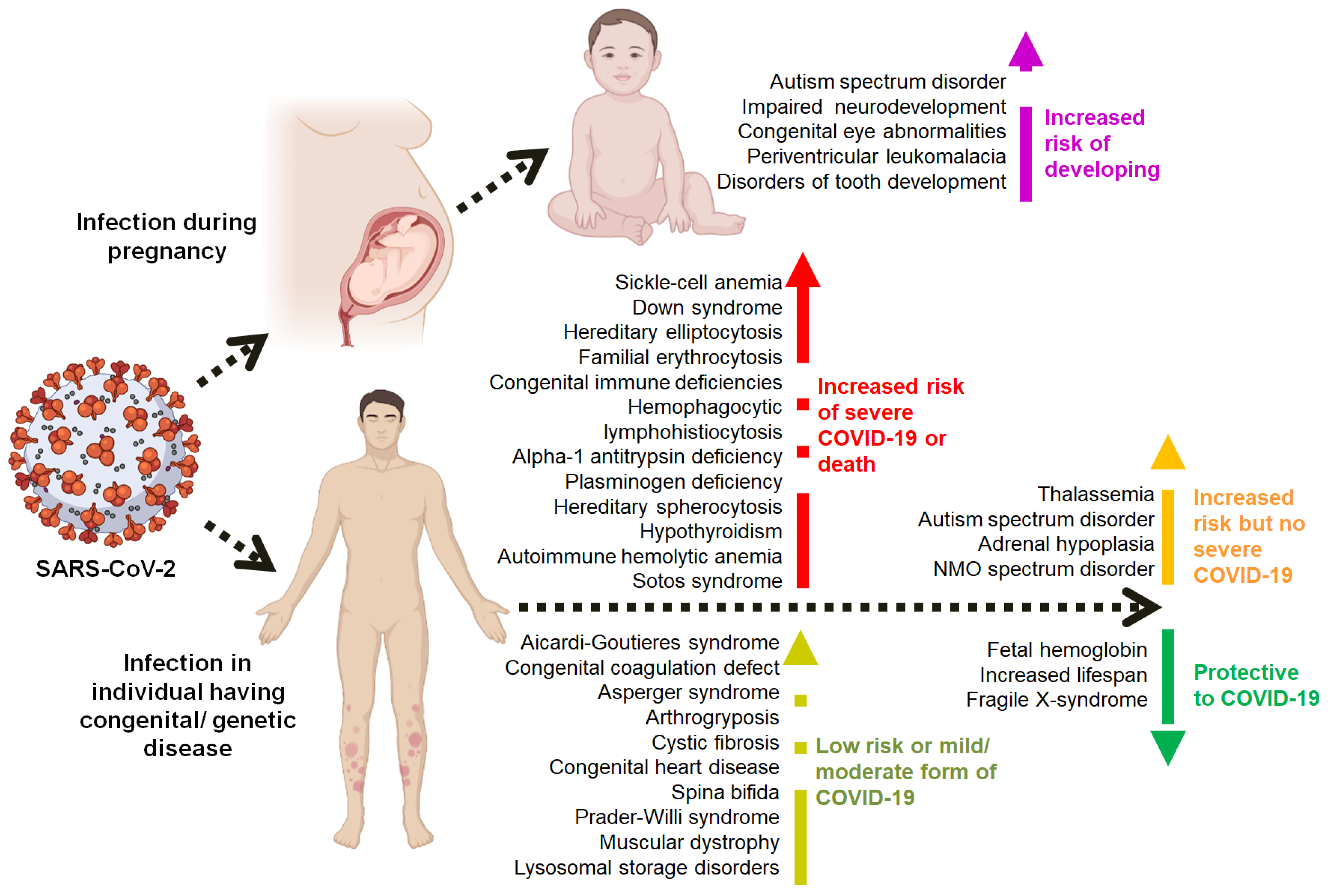 Viruses 14 00910 g003