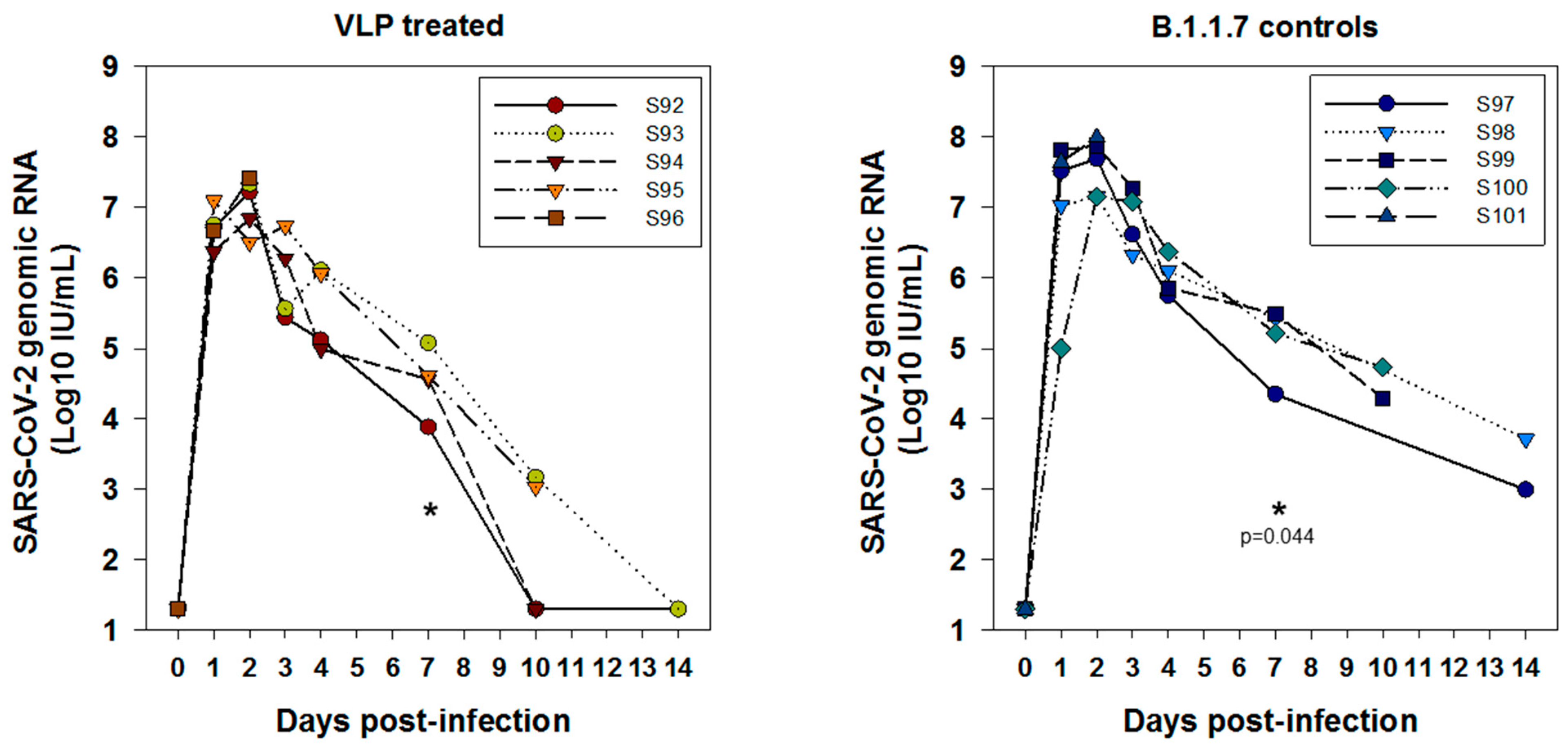 Viruses 14 00914 g007