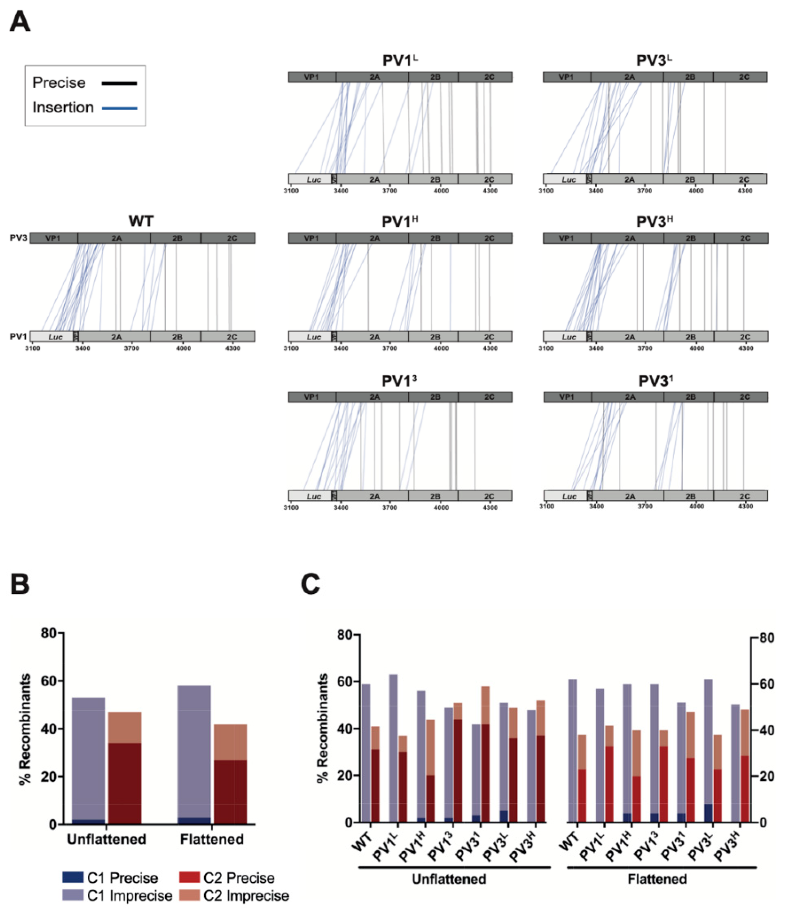 Viruses 14 00916 g002