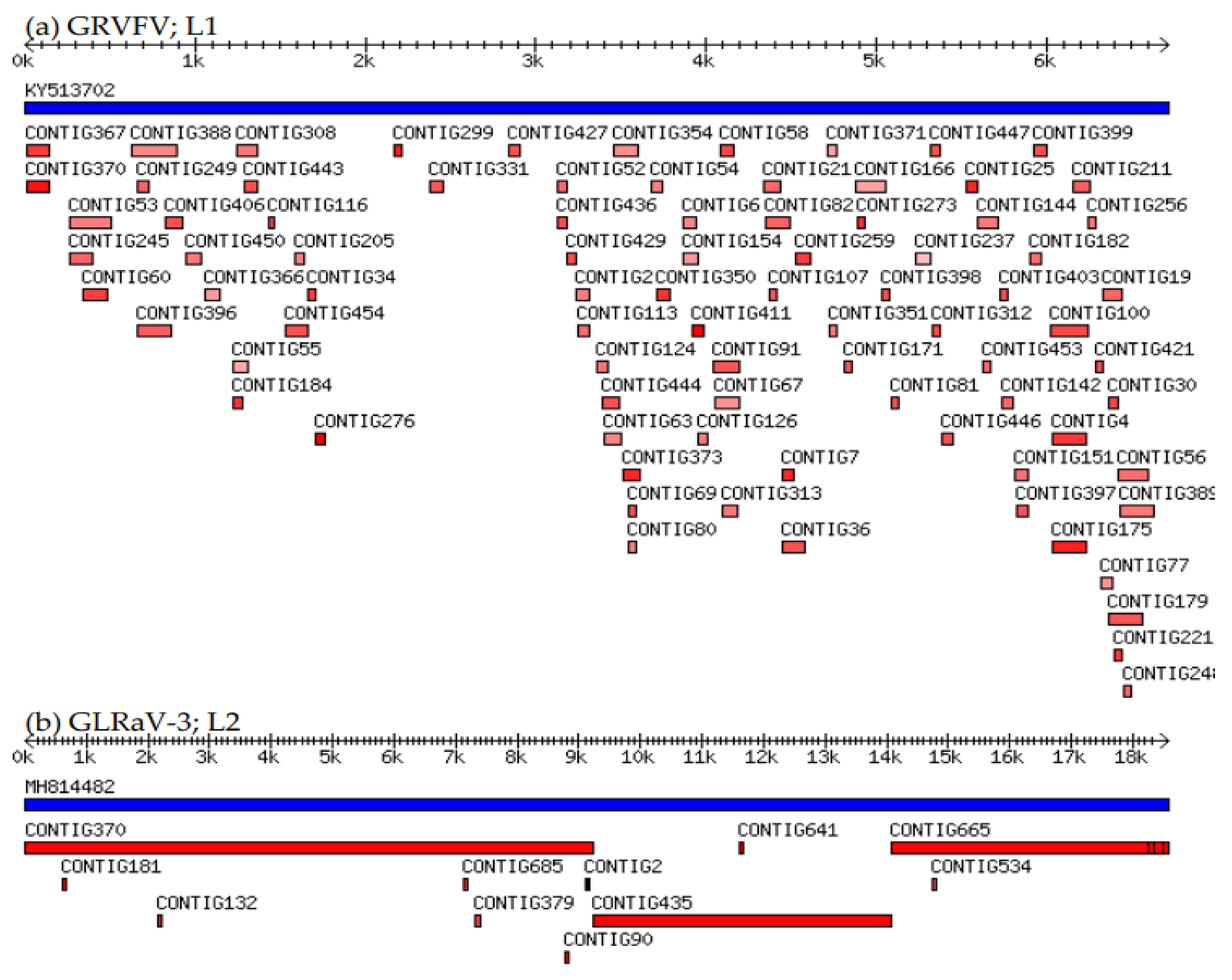 Viruses 14 00921 g002