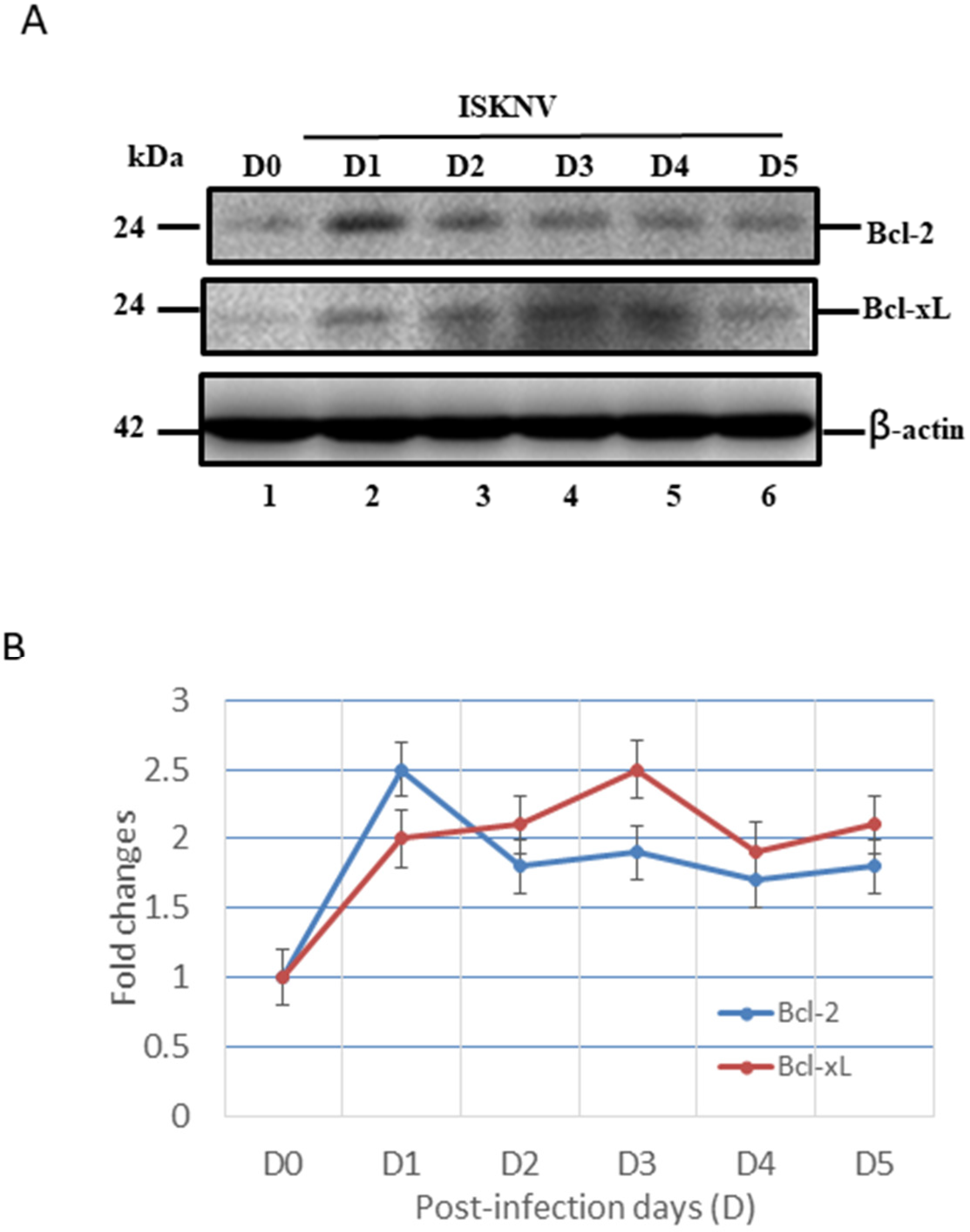 Viruses 14 00922 g005 Viruses 14 00922 g005