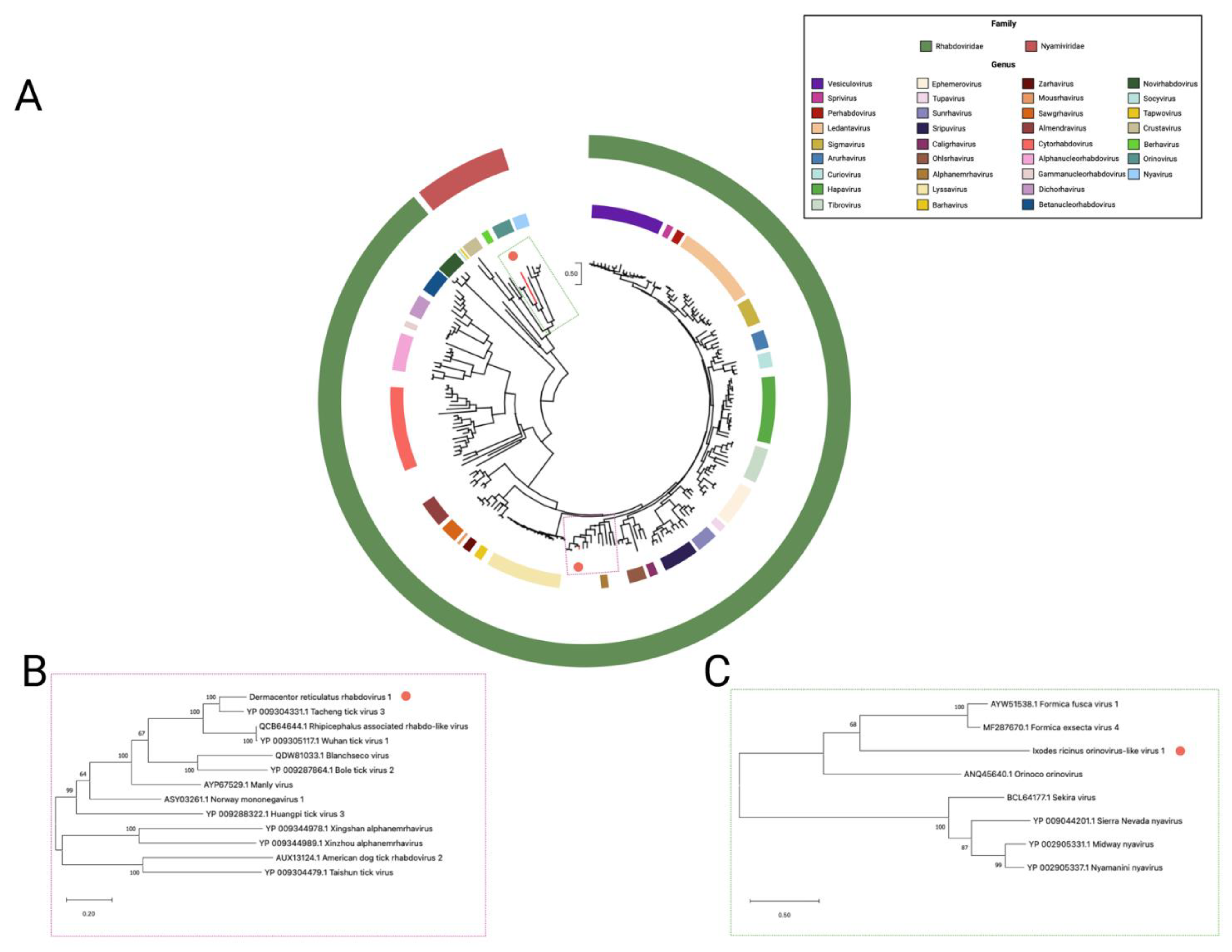 Viruses 14 00929 g003 Viruses 14 00929 g003