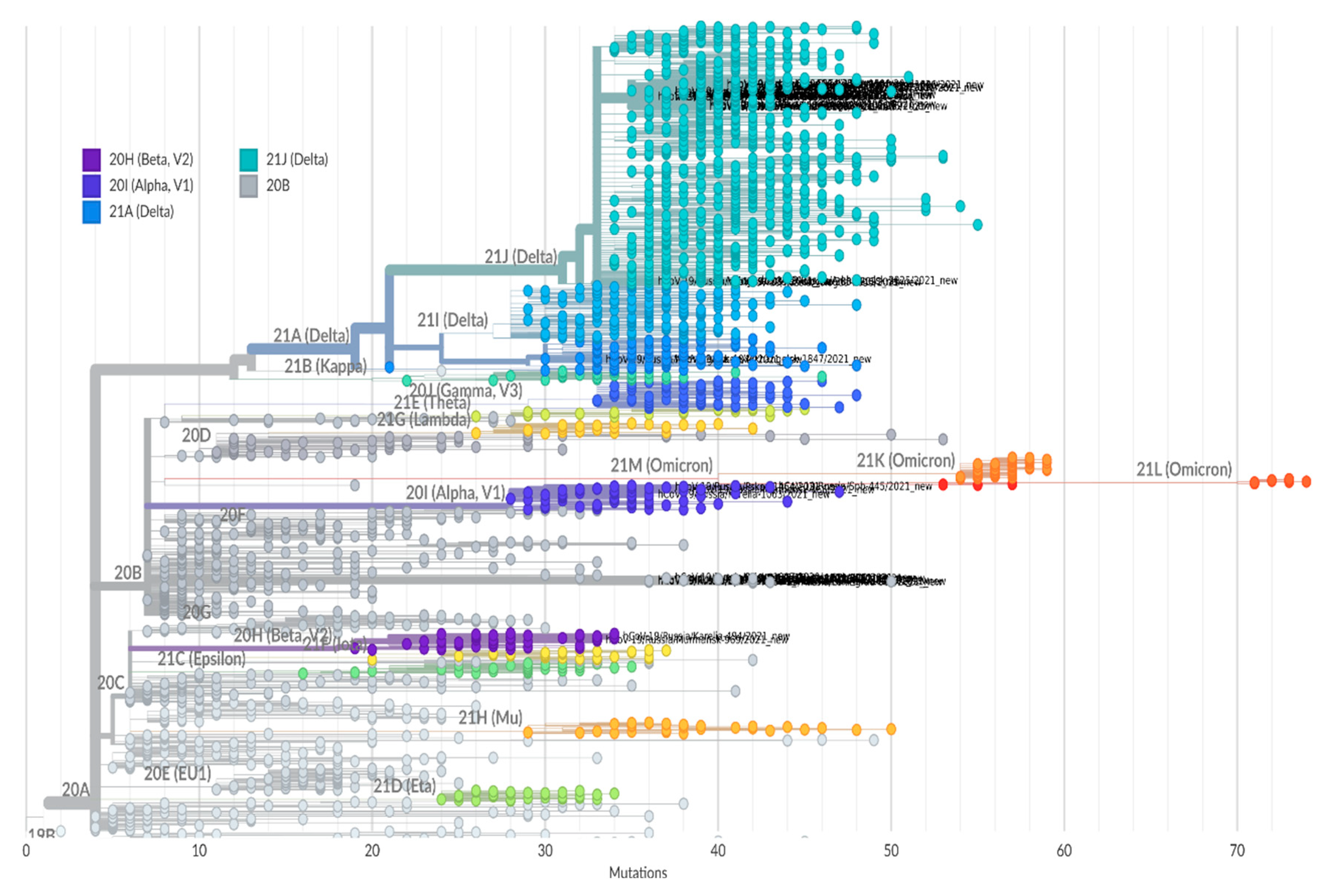 Viruses 14 00931 g008 550