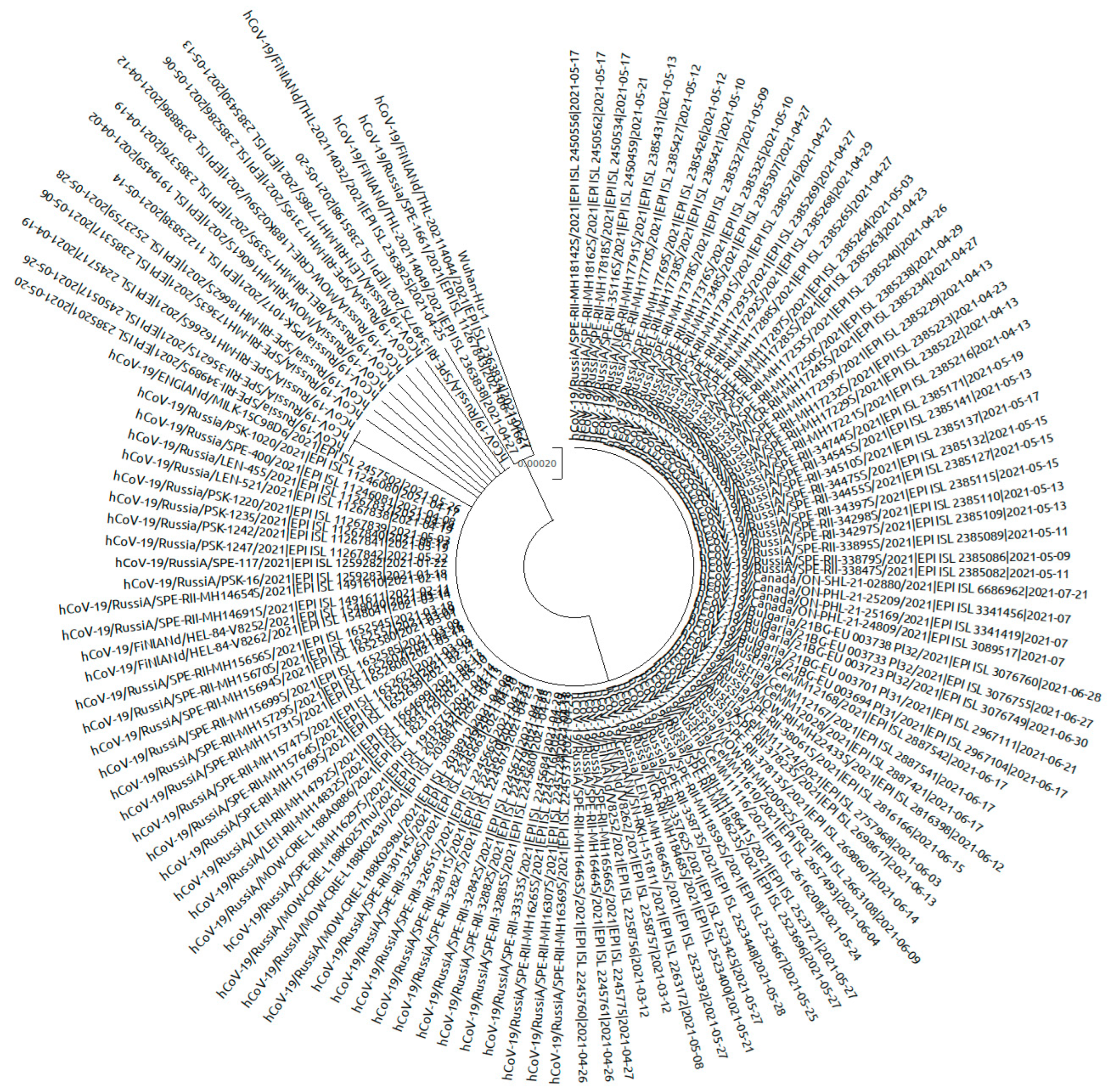 Viruses 14 00931 g010 550