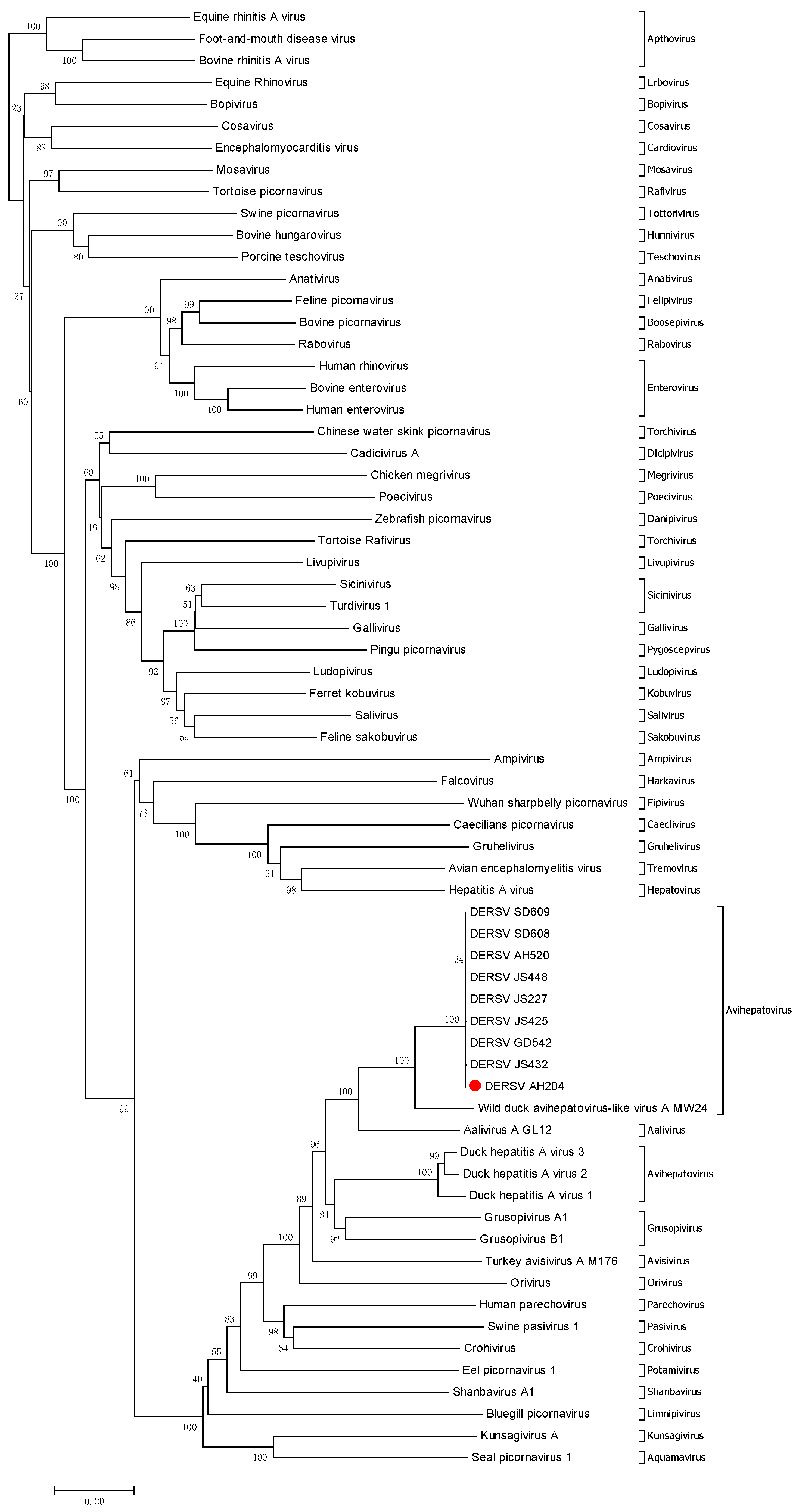 Viruses 14 00932 g001