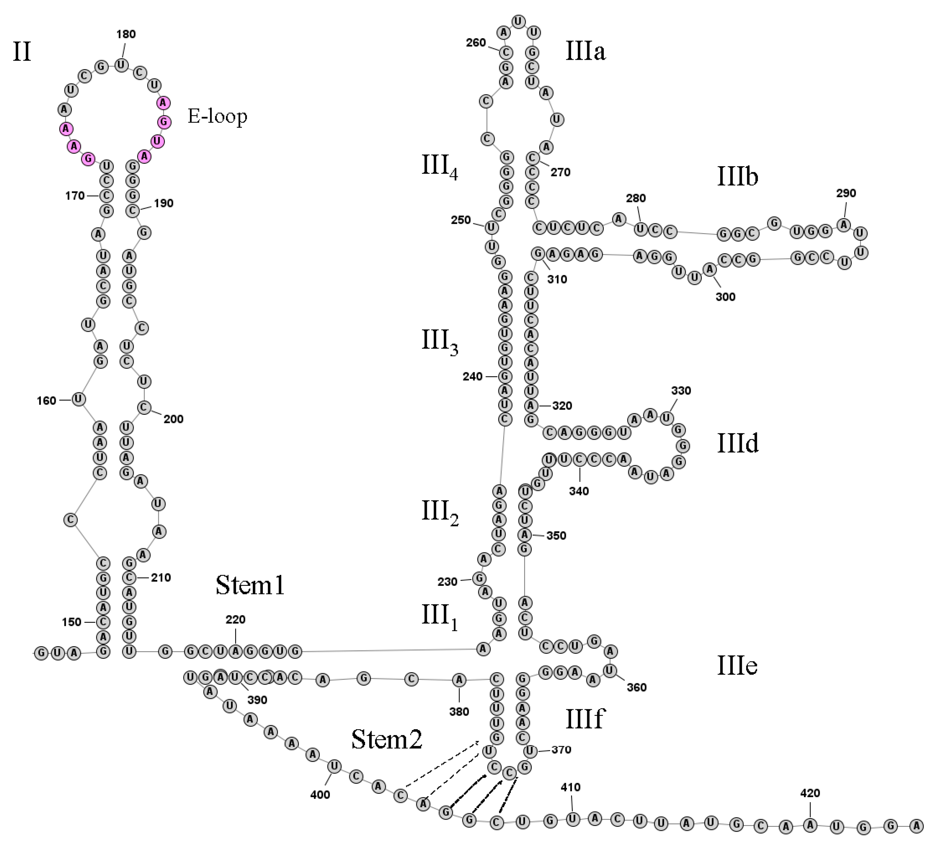 Viruses 14 00932 g003
