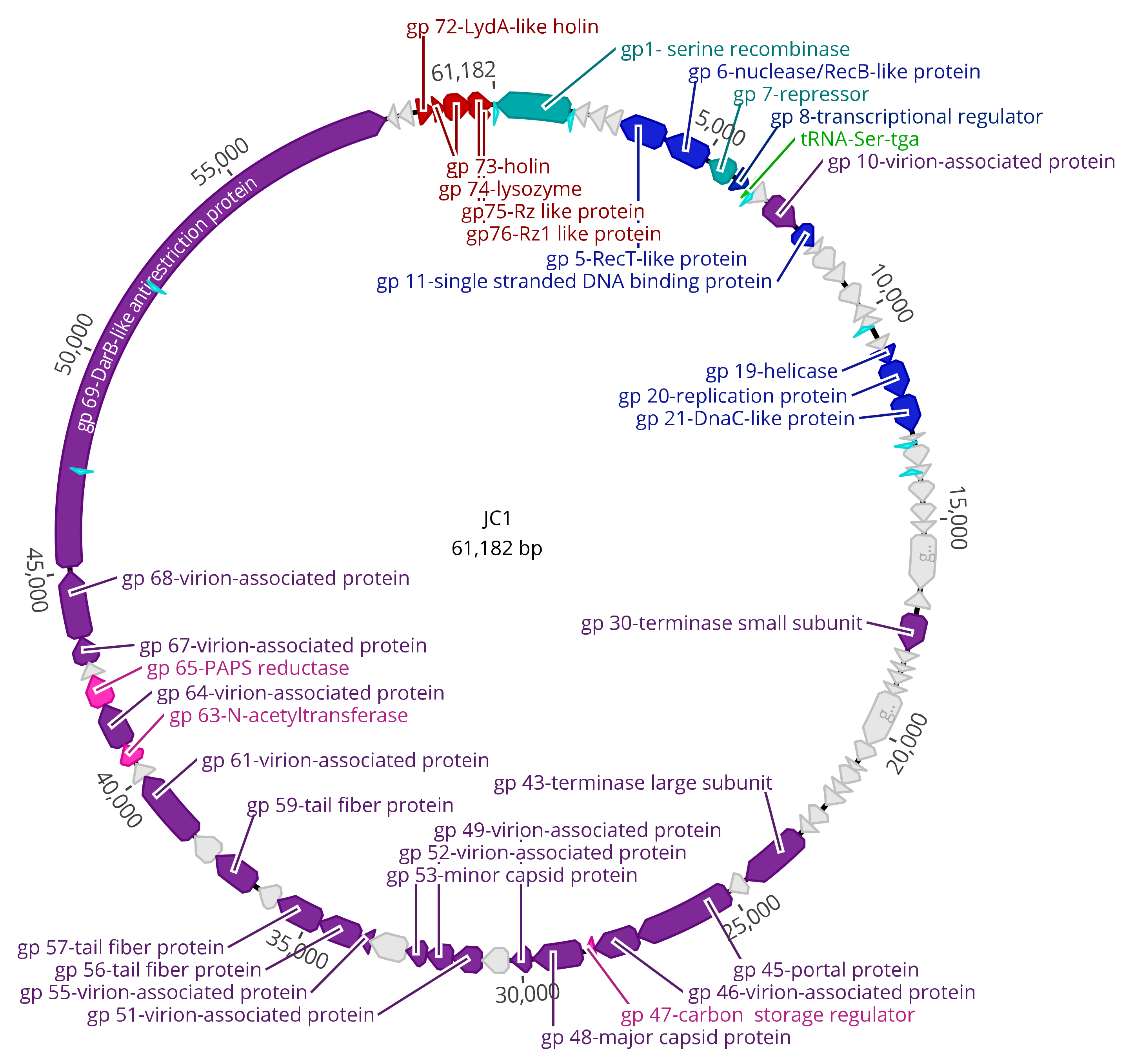 Viruses 14 00938 g004 Viruses 14 00938 g004