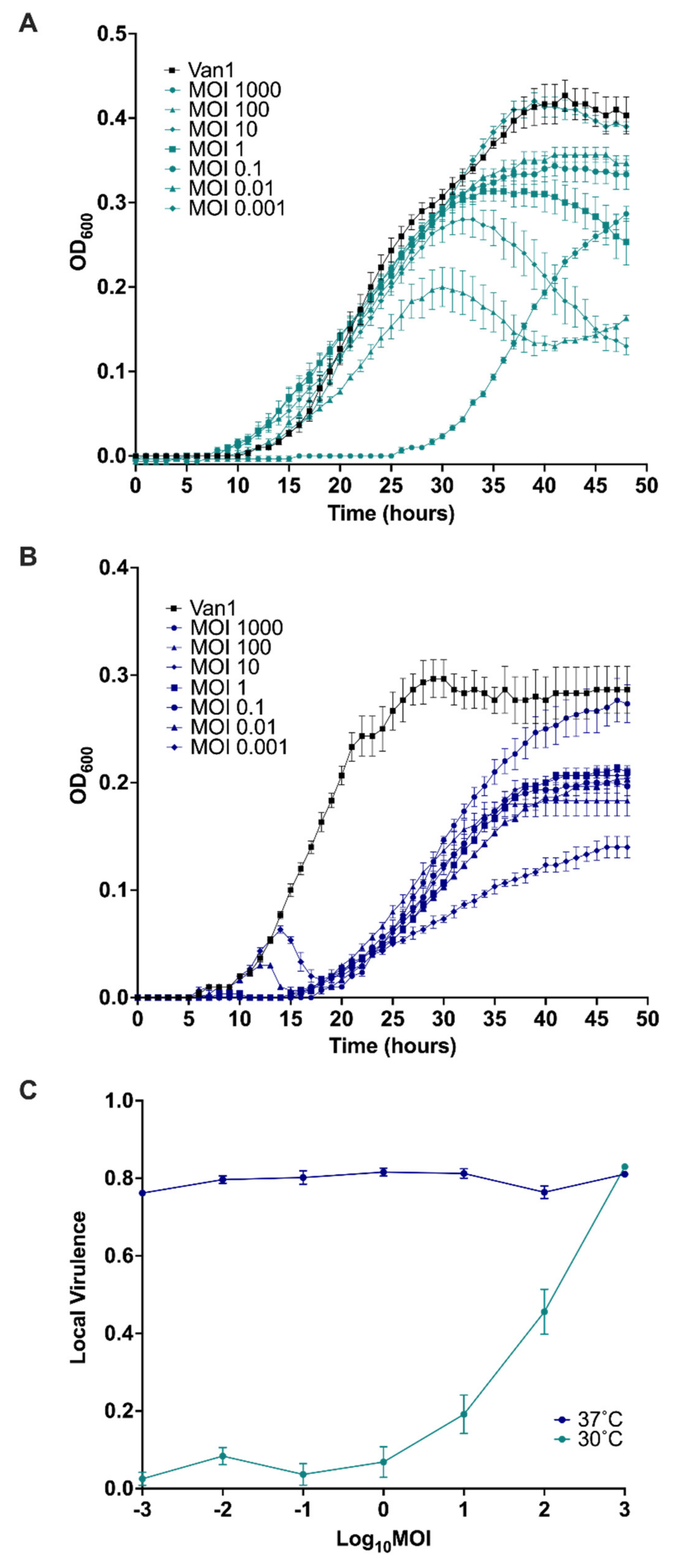 Viruses 14 00938 g008 Viruses 14 00938 g008