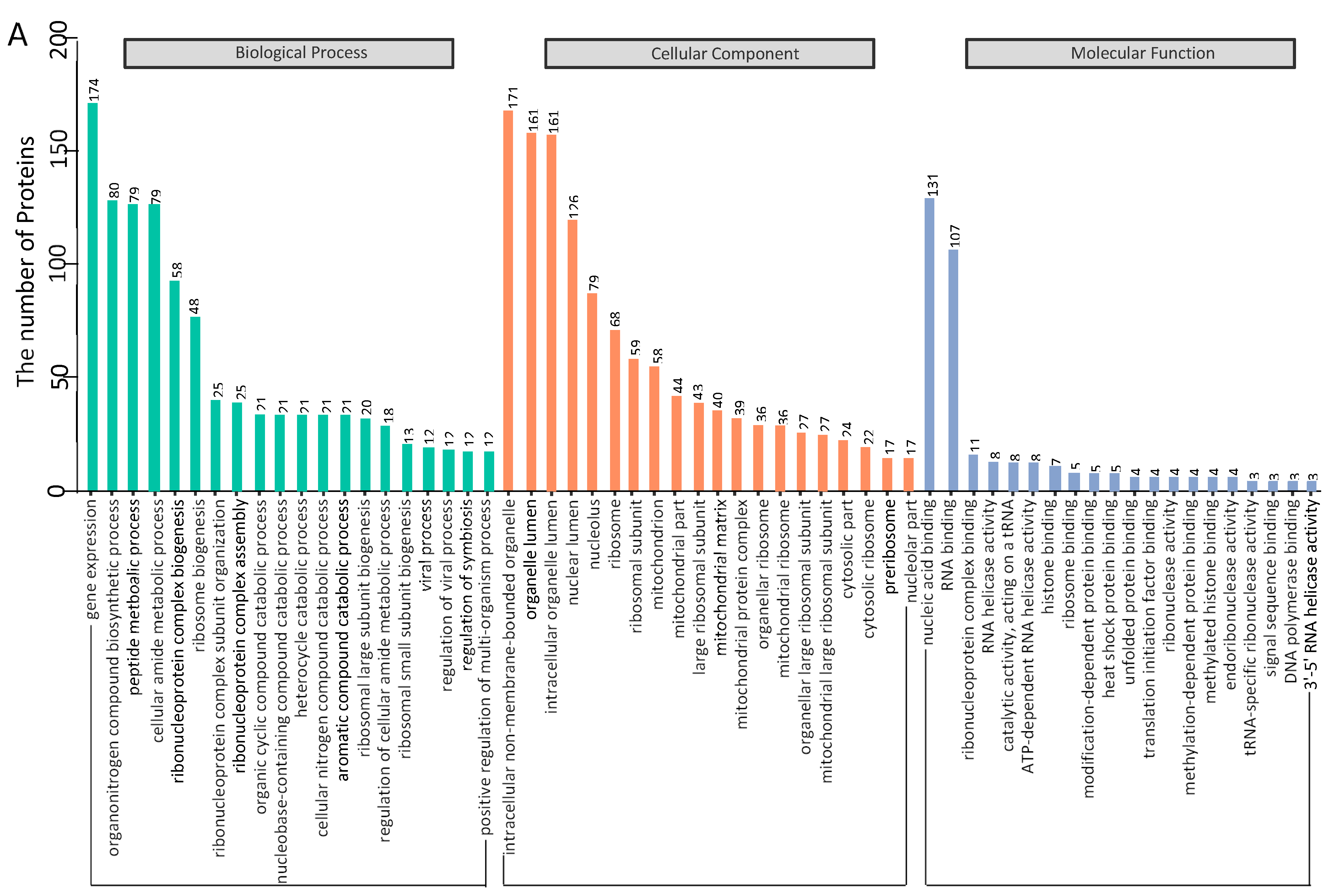 Viruses 14 00939 g003a Viruses 14 00939 g003a