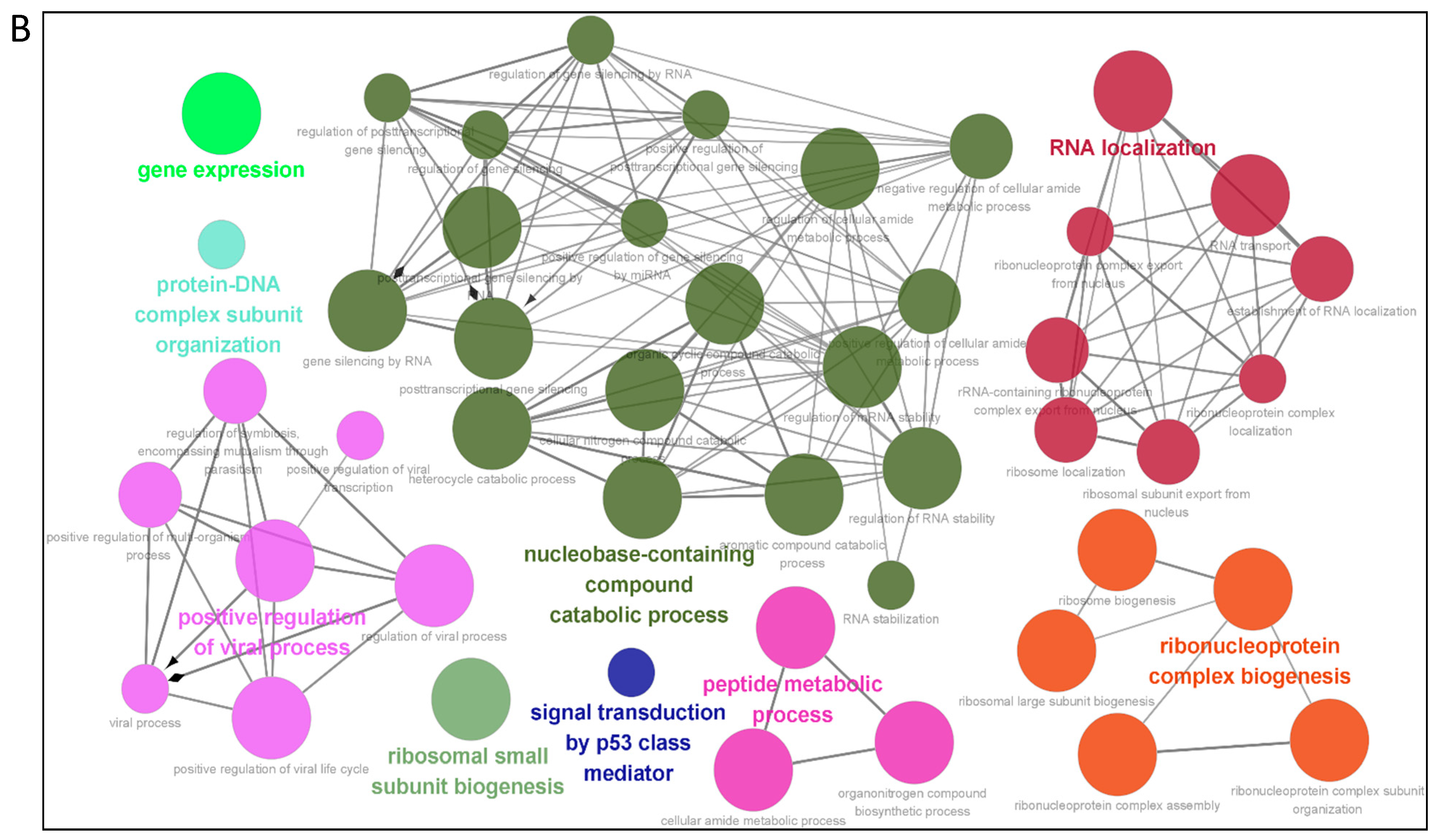 Viruses 14 00939 g003b Viruses 14 00939 g003b