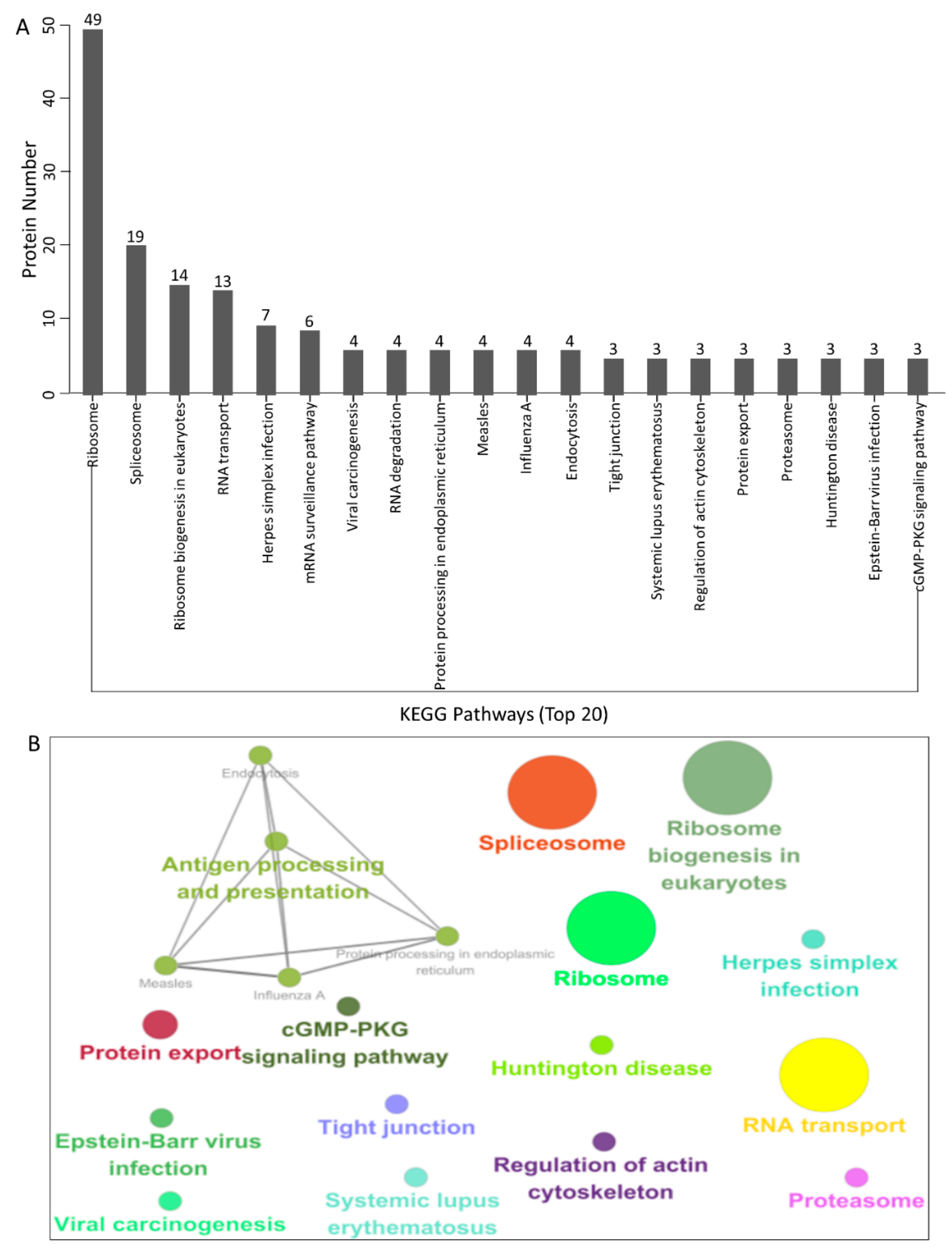 Viruses 14 00939 g004 Viruses 14 00939 g004