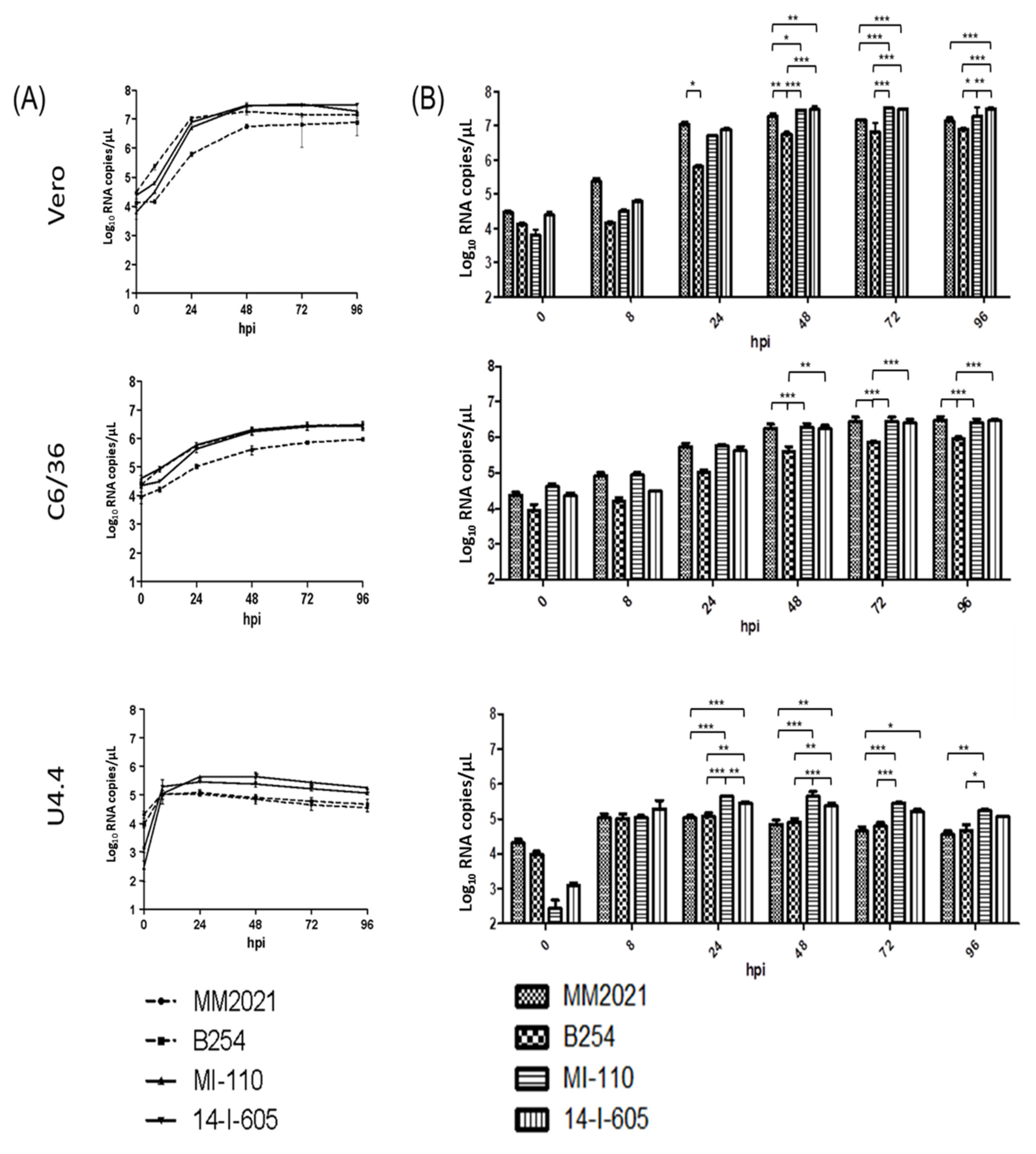 Viruses 14 00942 g003 Viruses 14 00942 g003