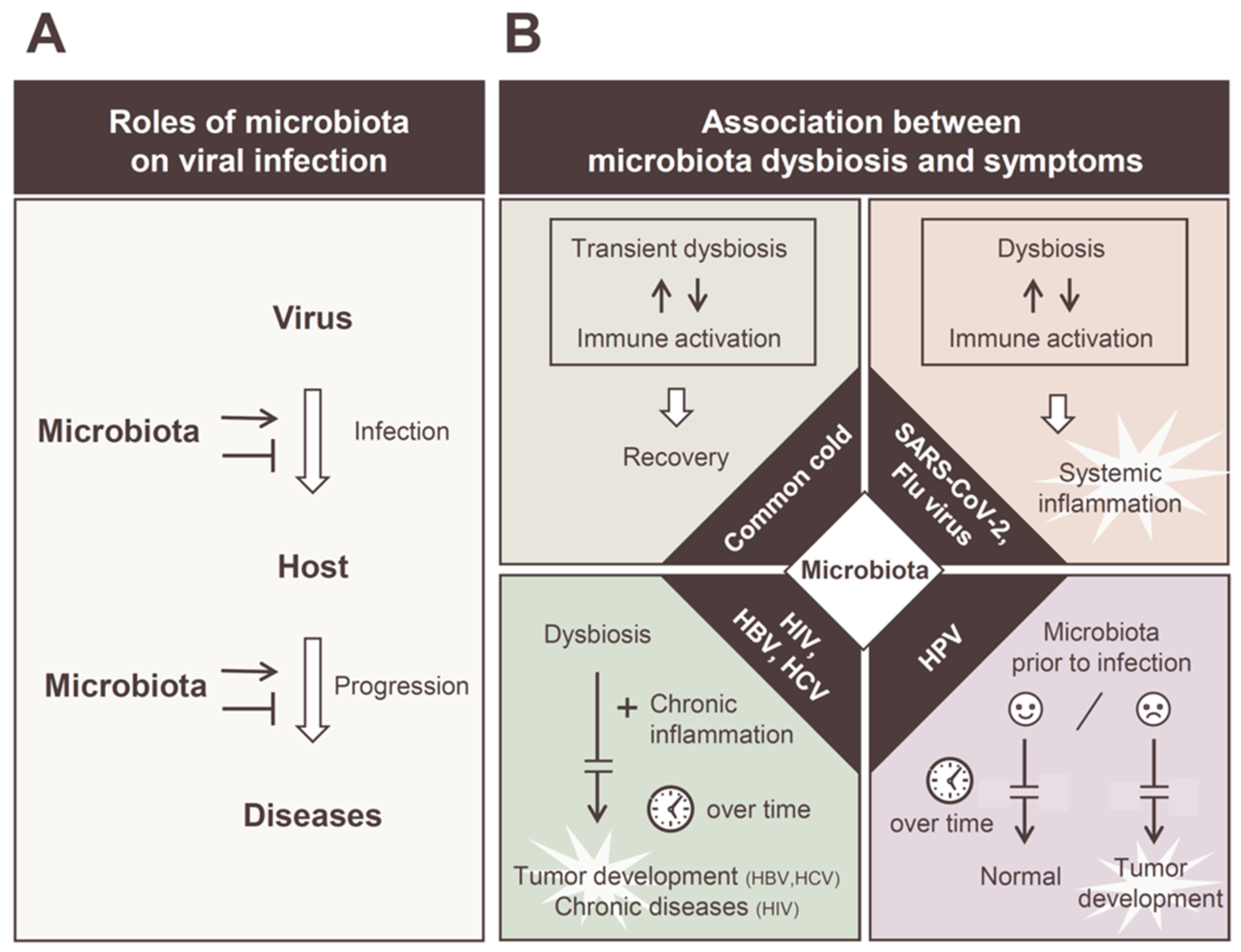 Viruses Free FullText Role of Microbiota in Viral Infections and