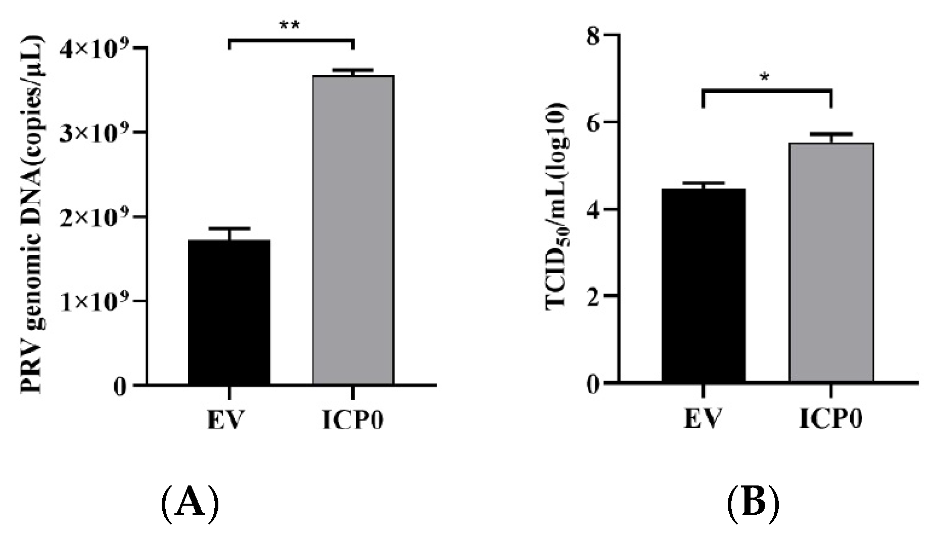 Viruses 14 00954 g001