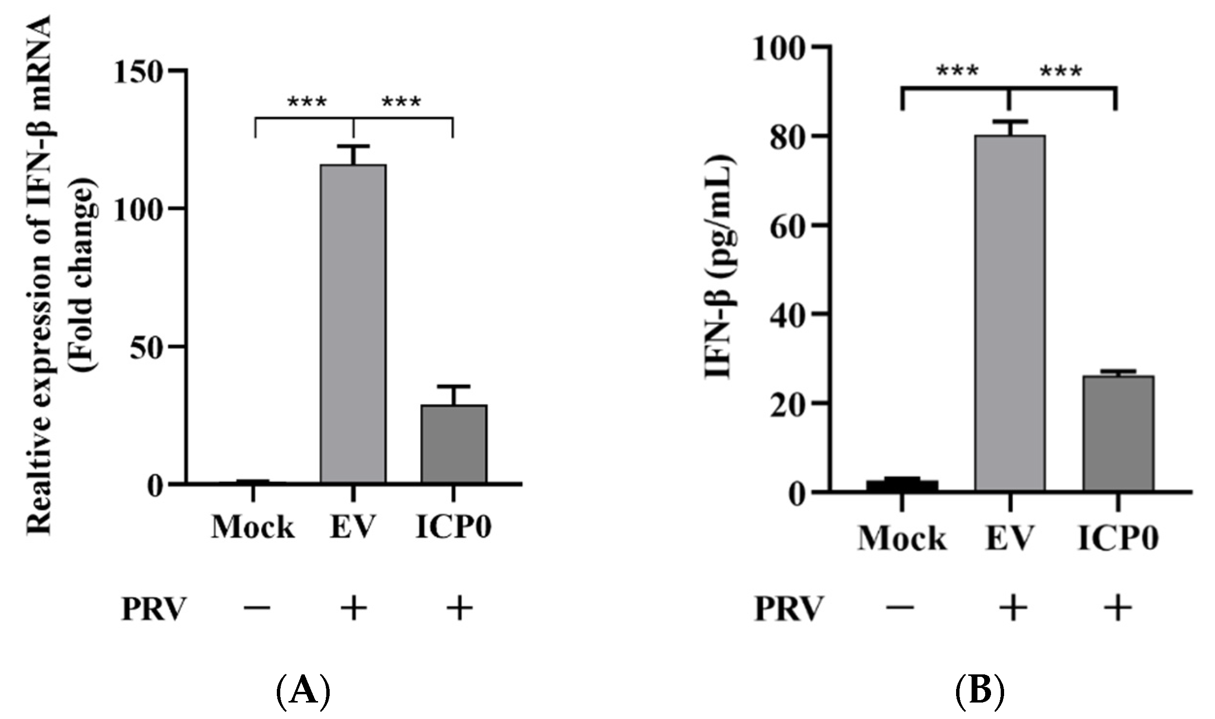 Viruses 14 00954 g007