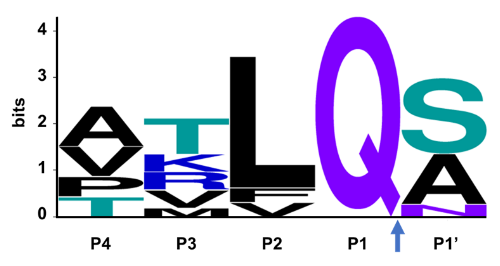 Viruses 14 00961 g004 550