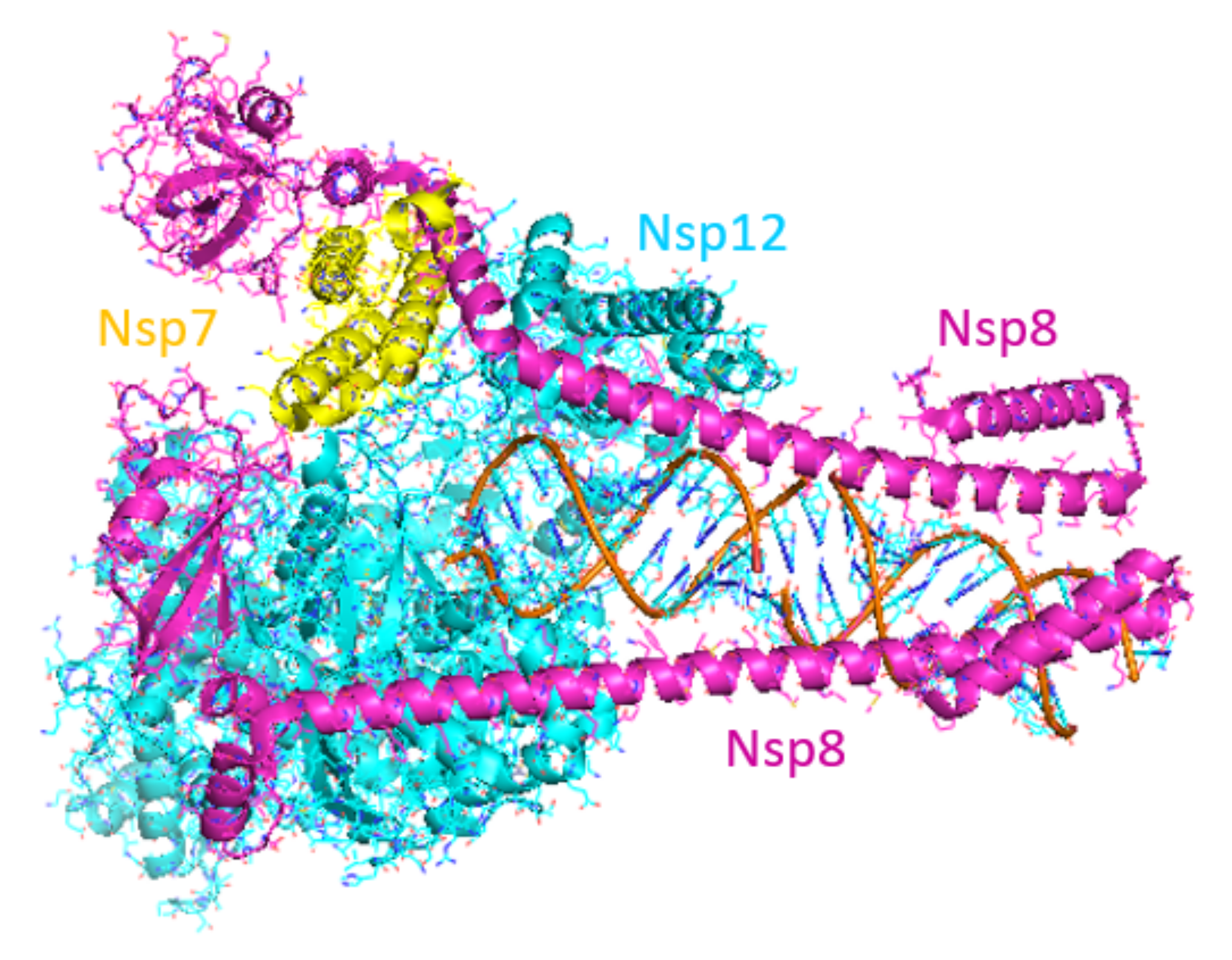 Viruses 14 00961 g006 550