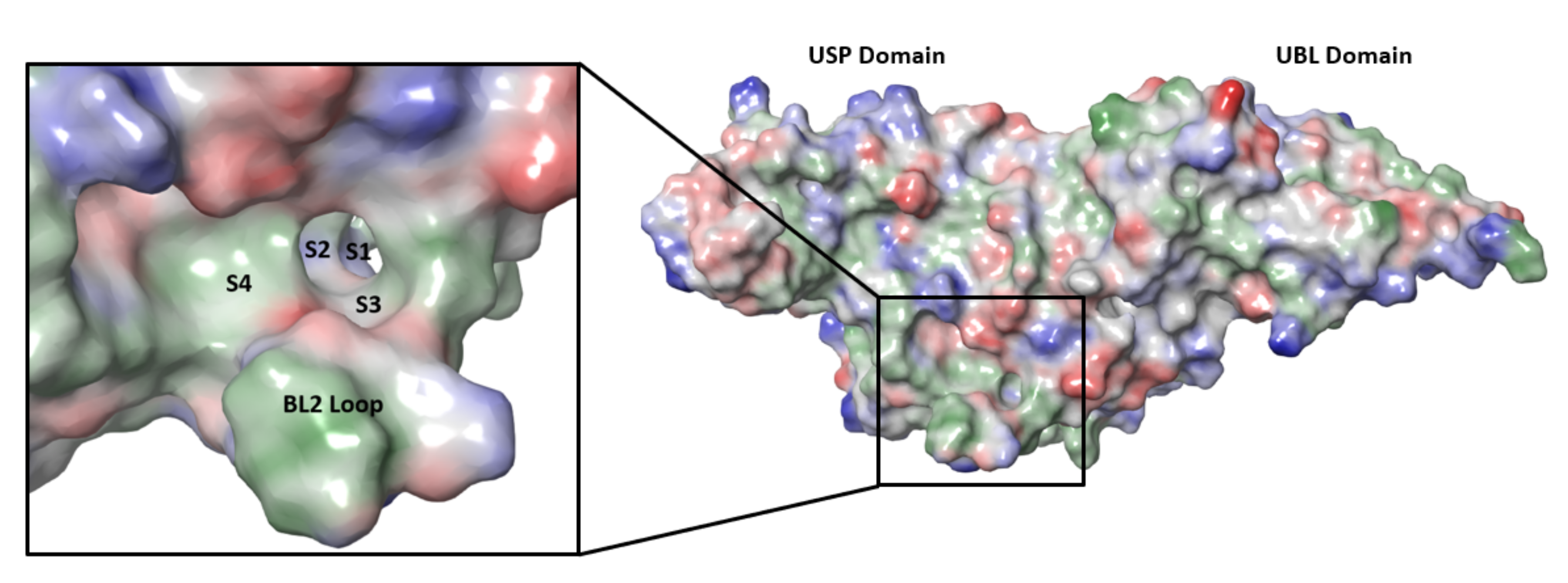 Viruses 14 00961 g009 550