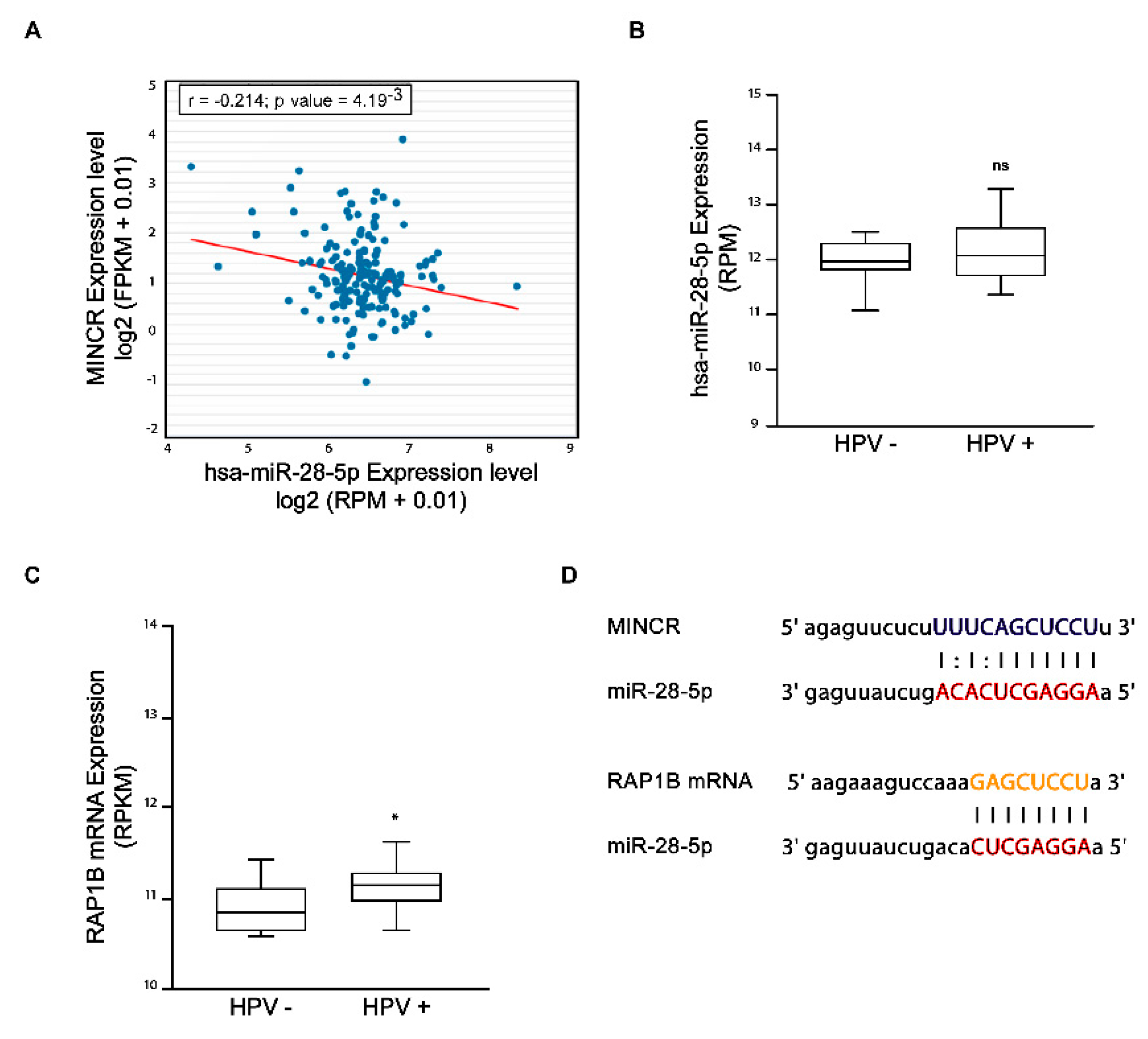 Viruses 14 00963 g002 550