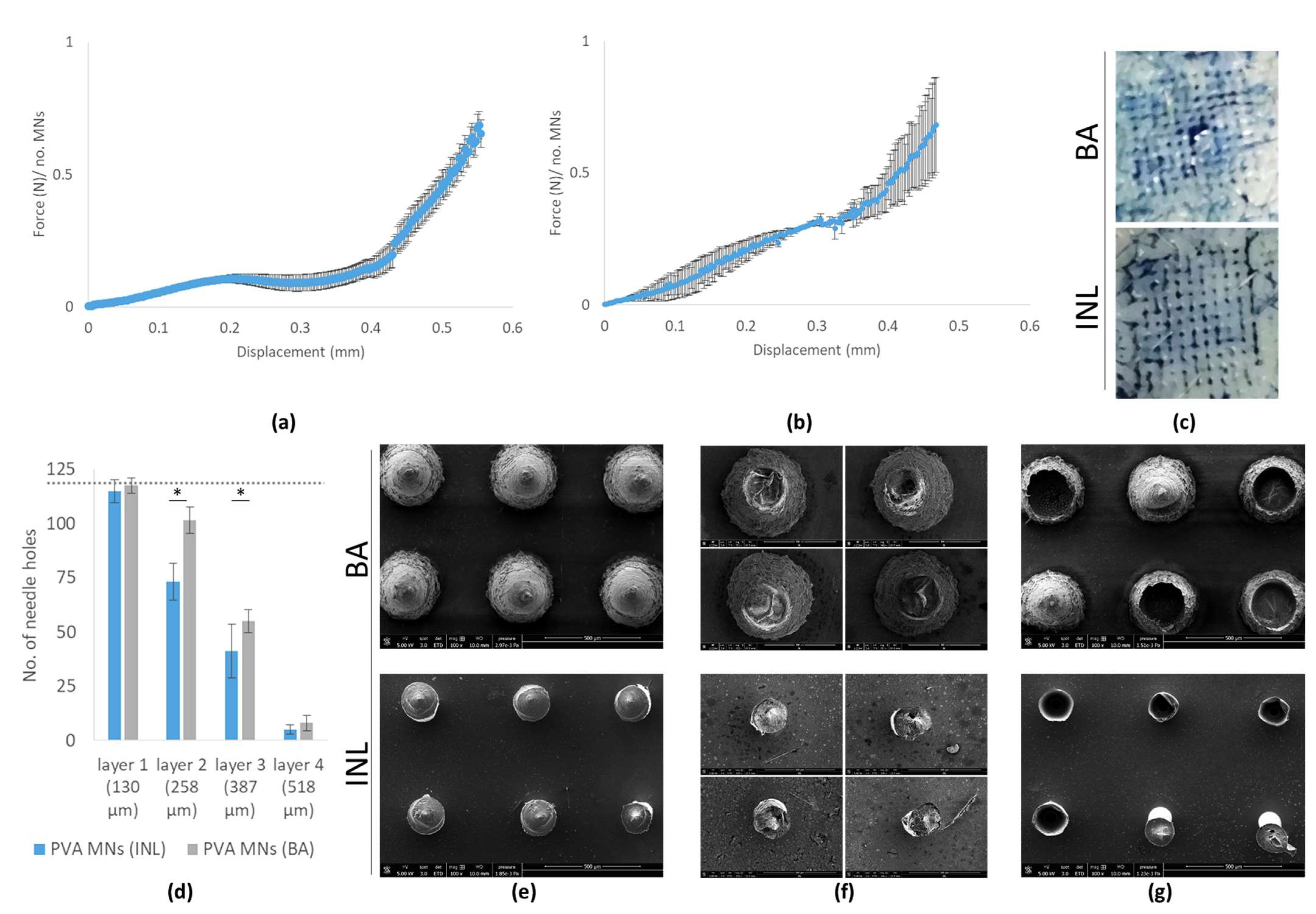 Viruses 14 00964 g004