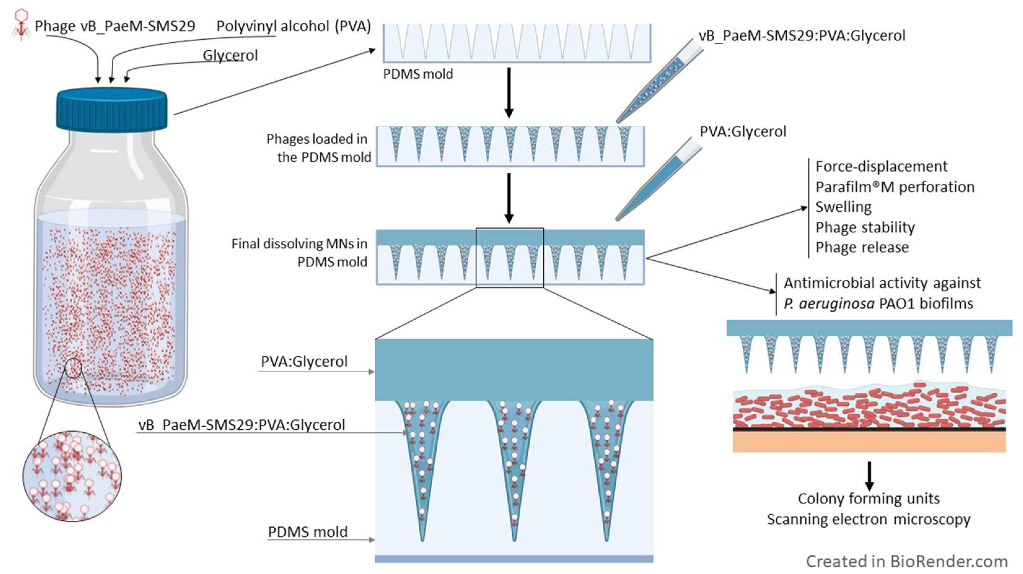 Viruses 14 00964 sch001
