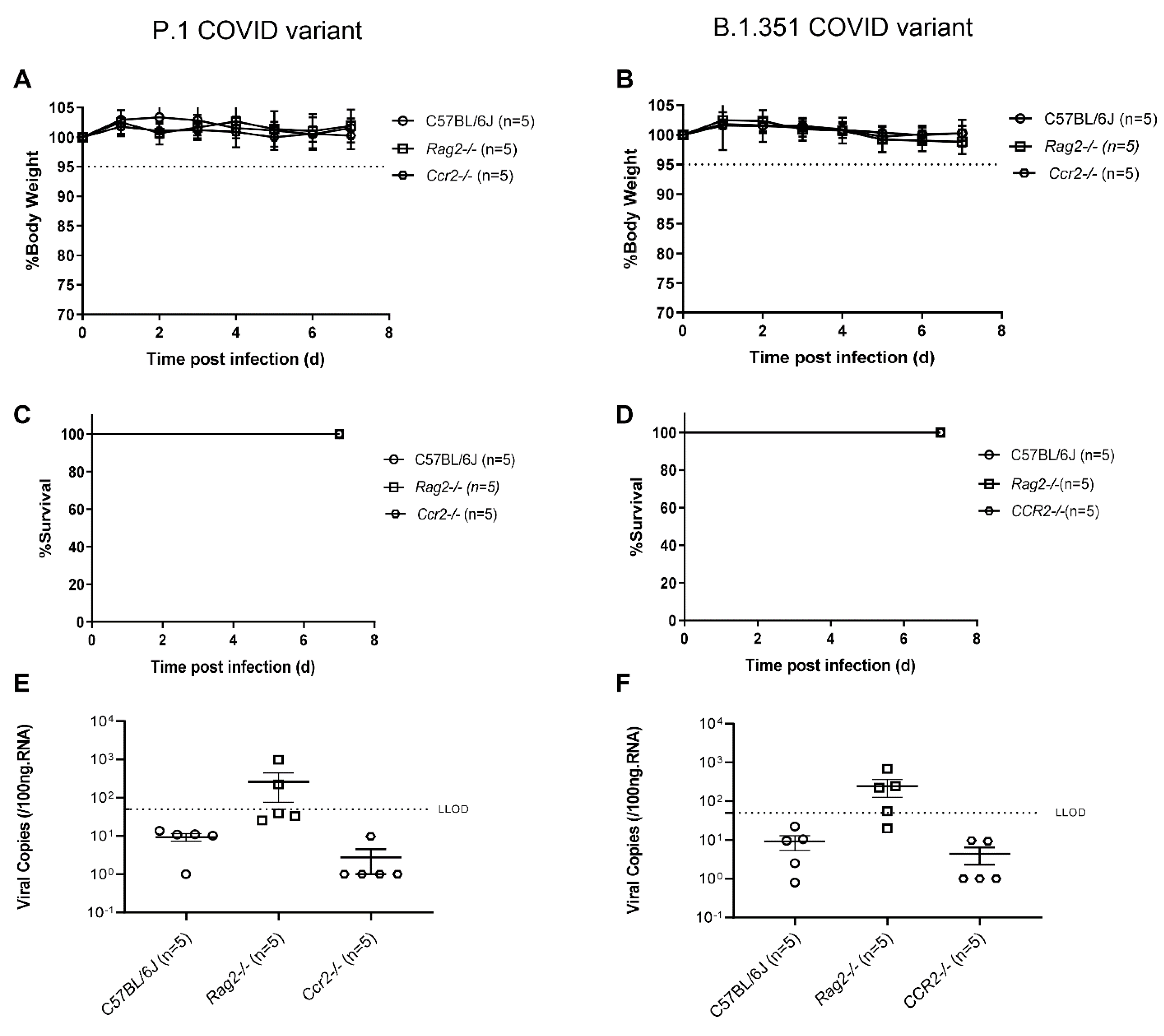 Viruses 14 00966 g001