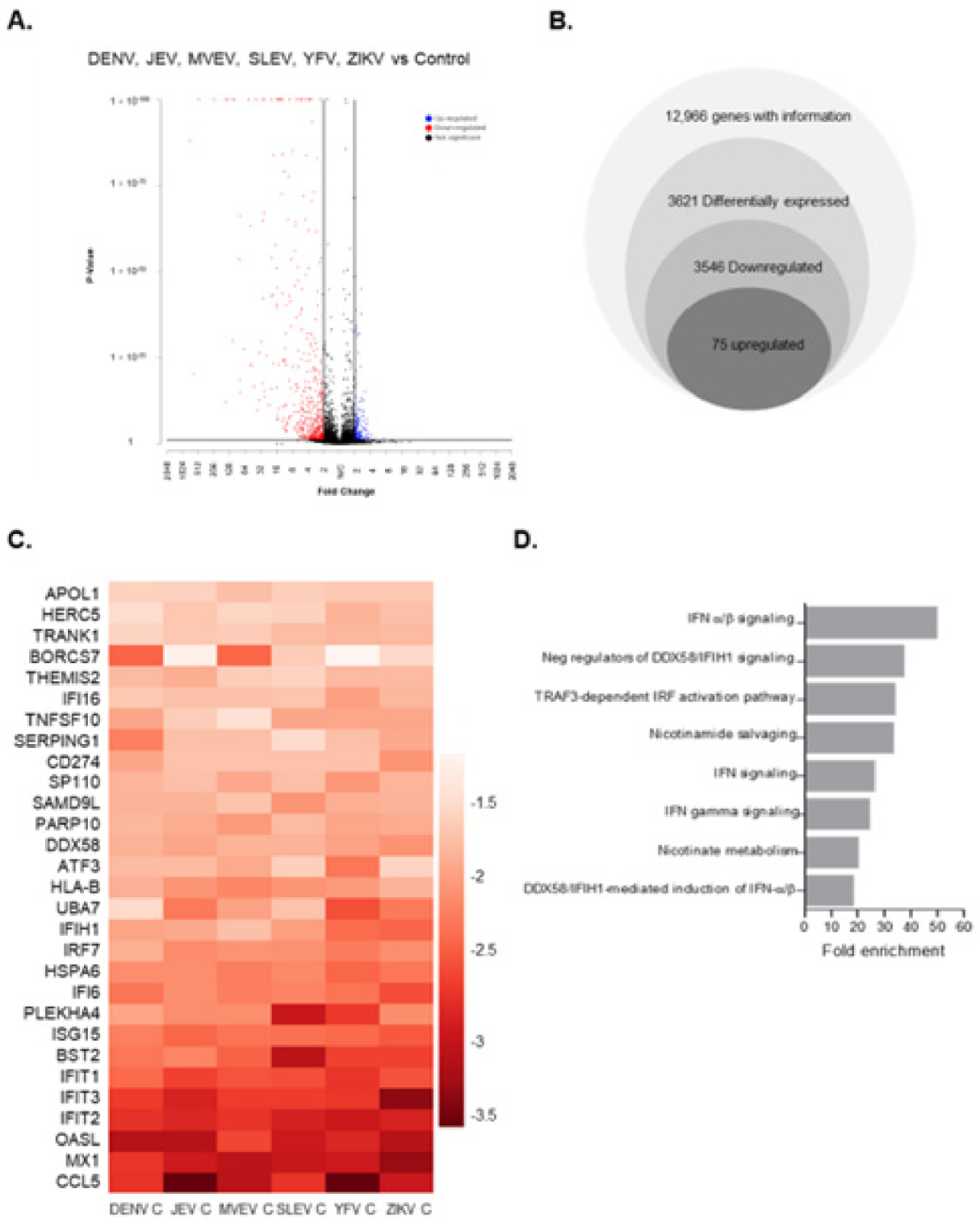 Viruses 14 00968 g002