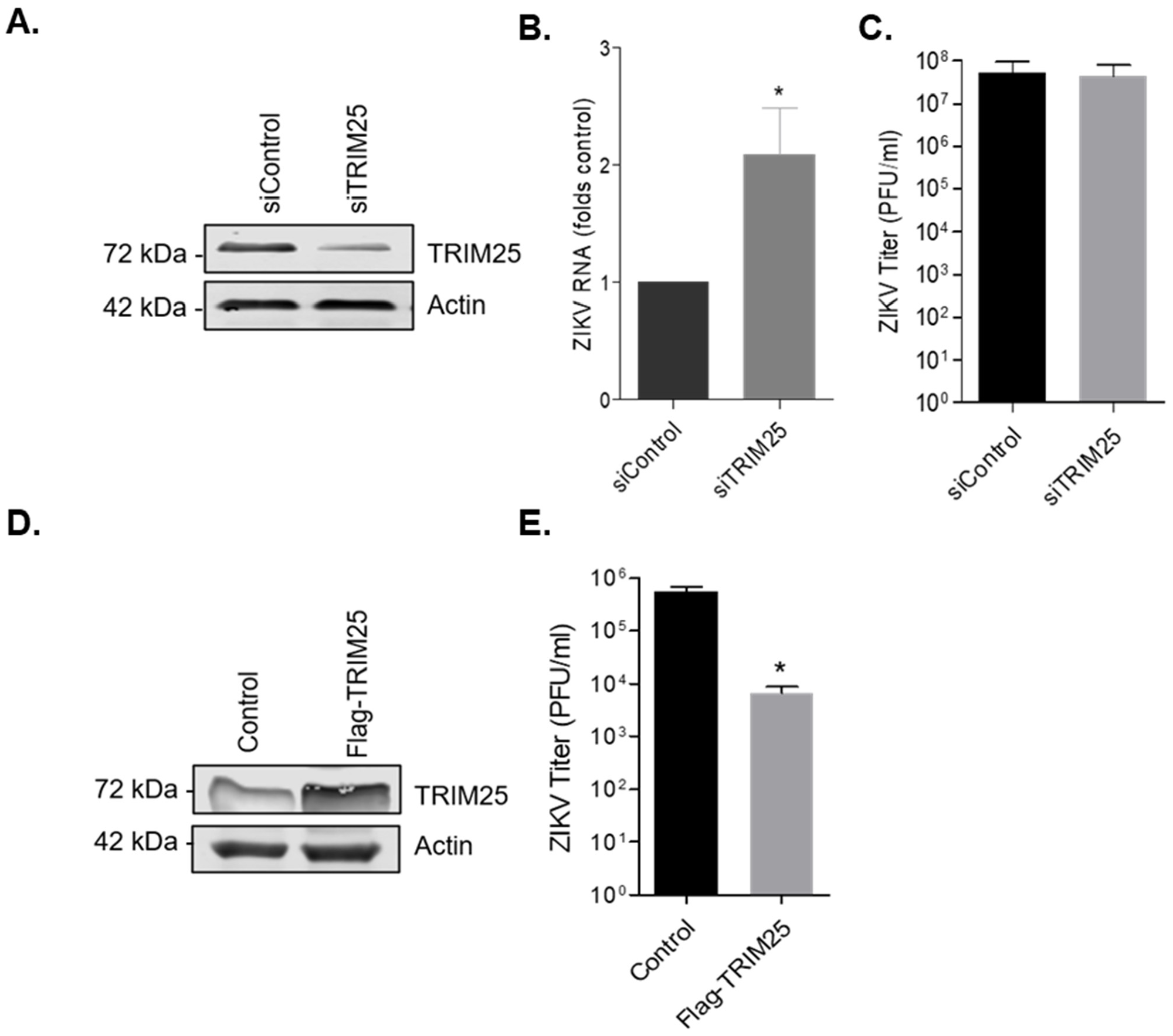 Viruses 14 00968 g008