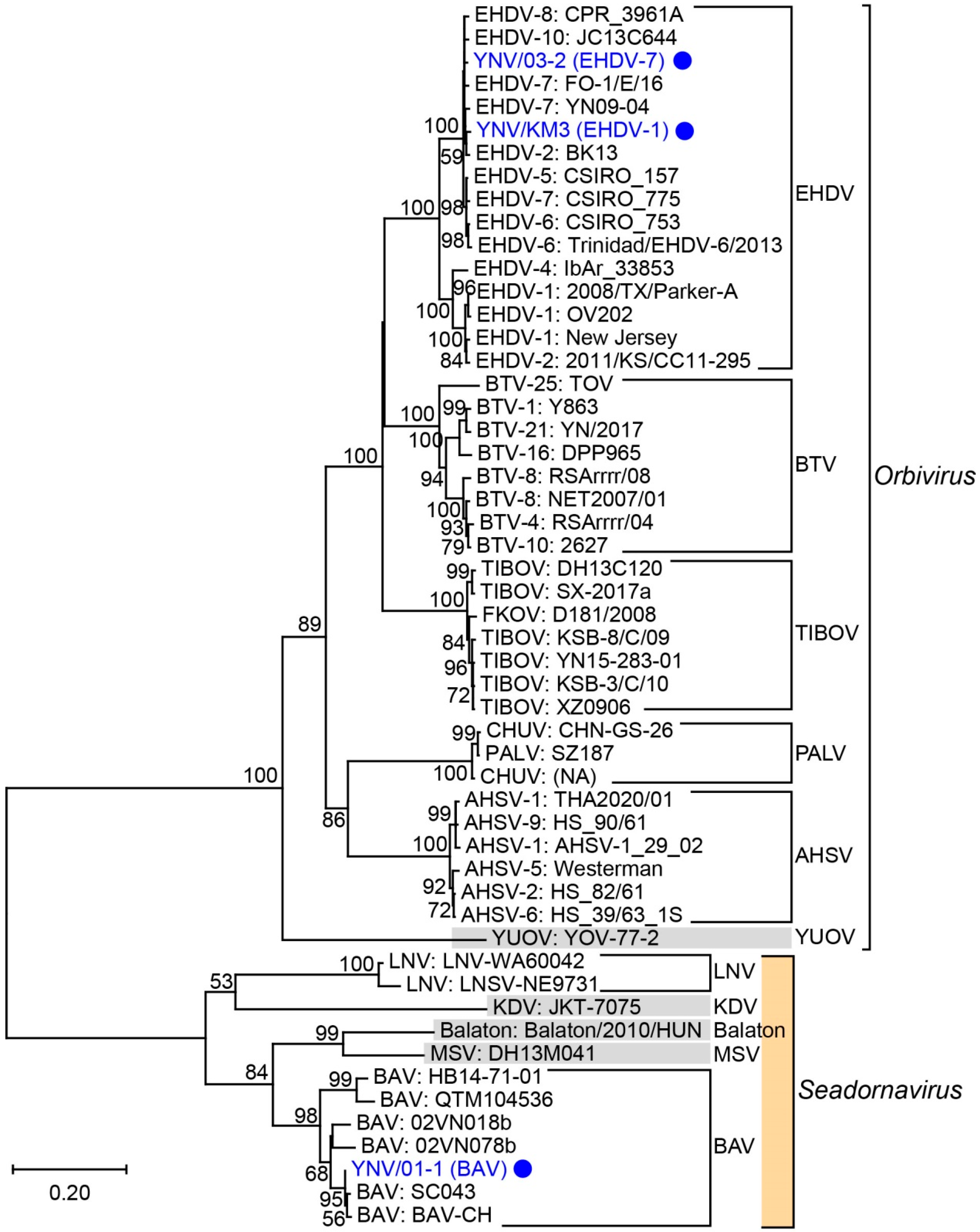 Viruses 14 00971 g002