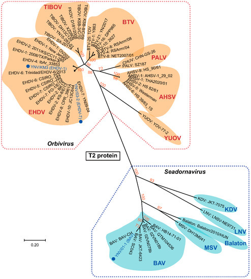 ピーピー ZXP Series 7 Card Printers | Zebra