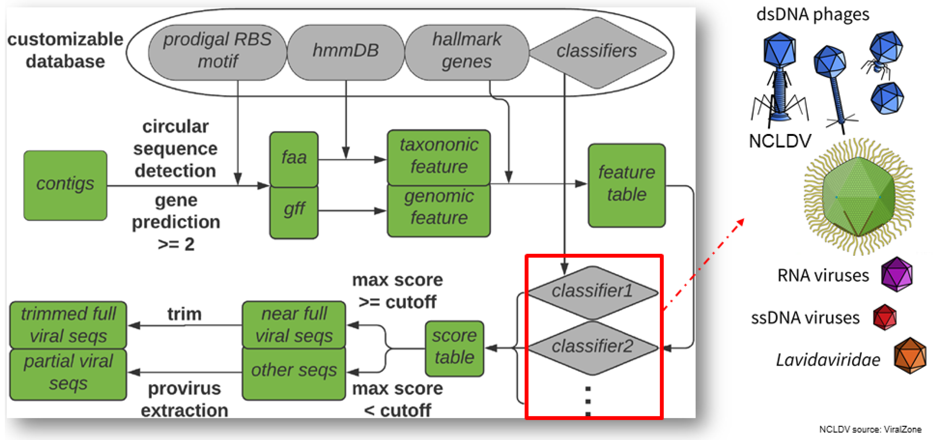 Viruses 14 00973 g006 550