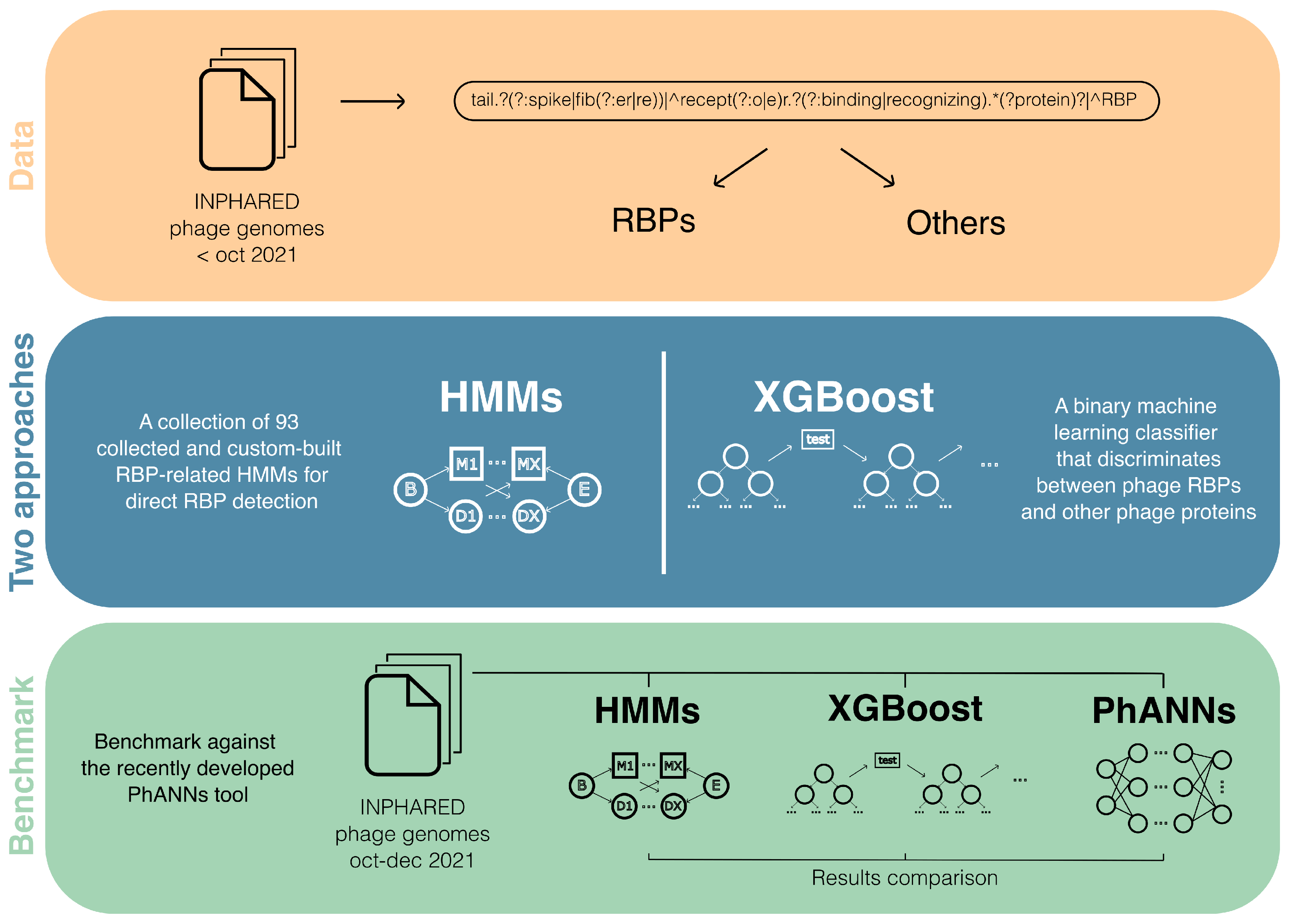 Viruses 14 00973 g007 550
