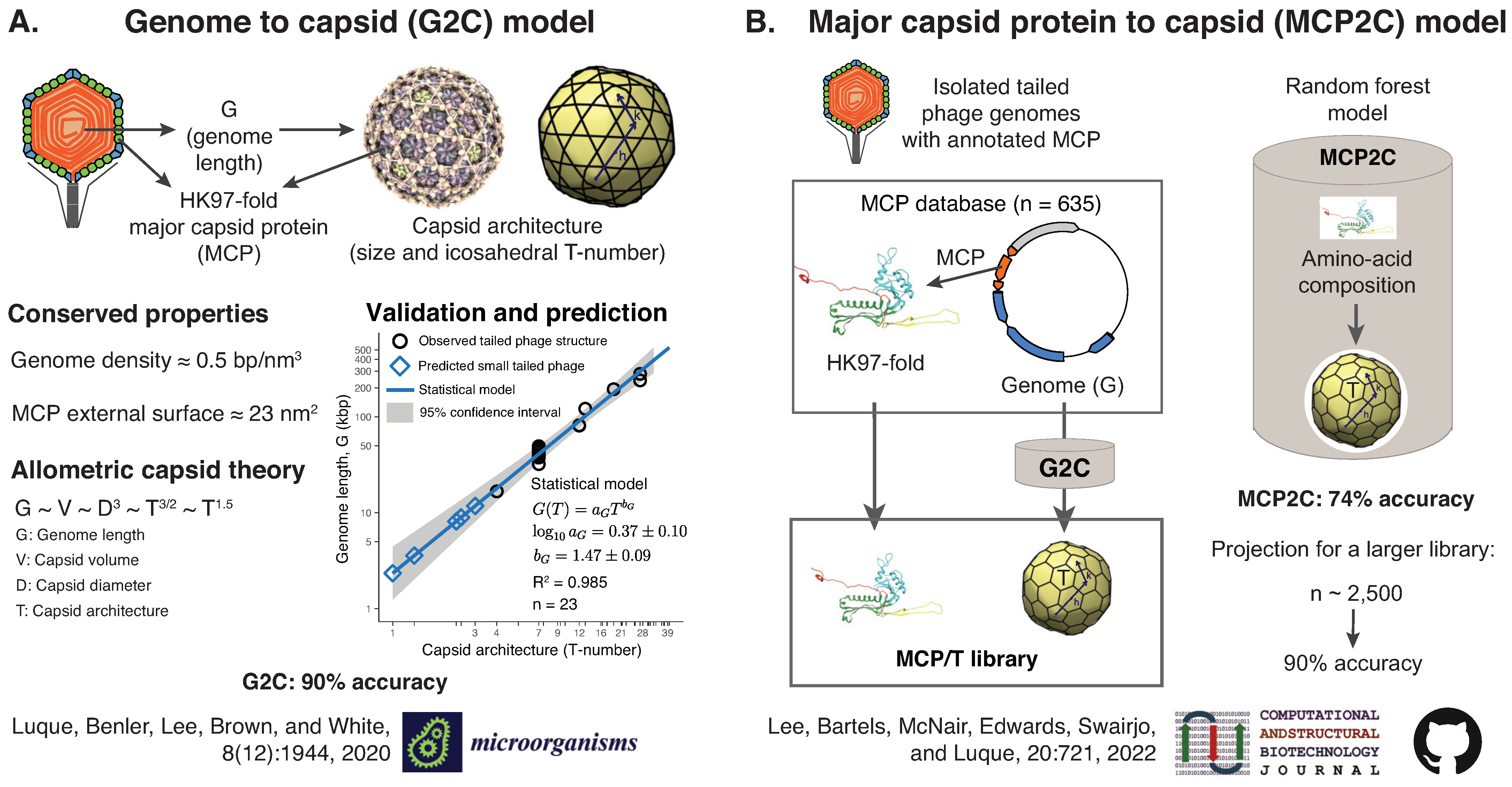 Viruses 14 00973 g008 550