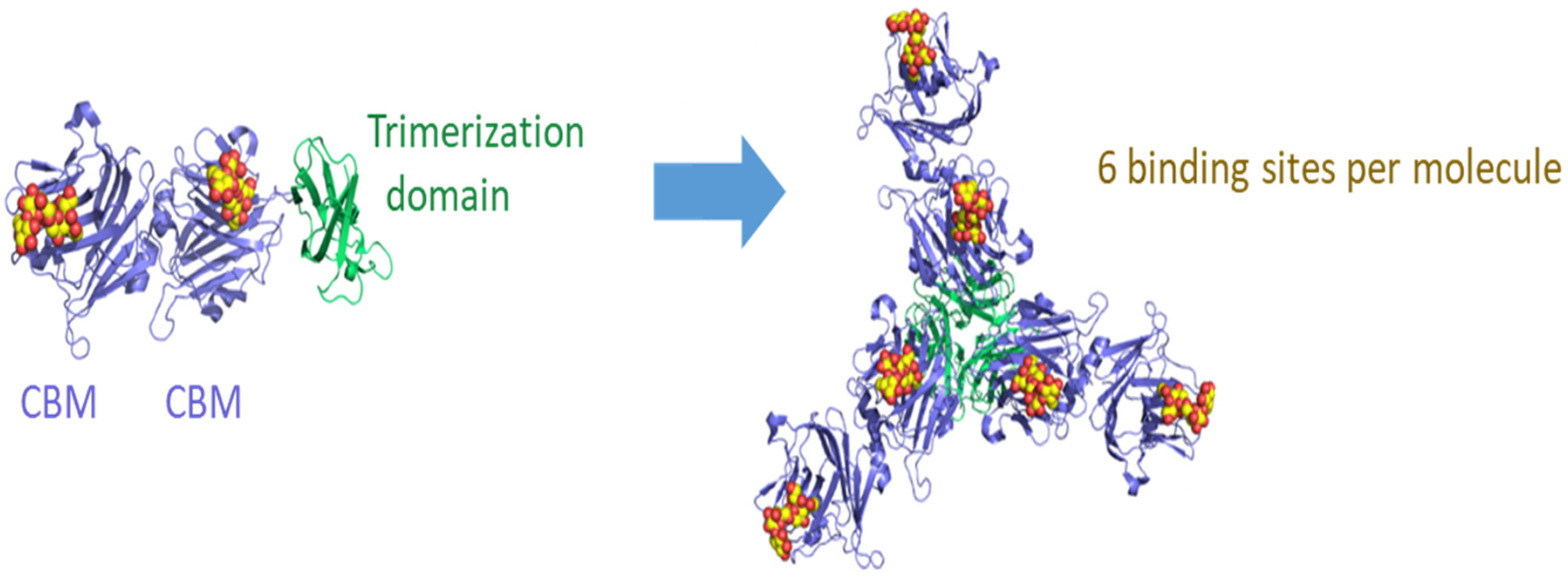 Viruses 14 00976 g001 550