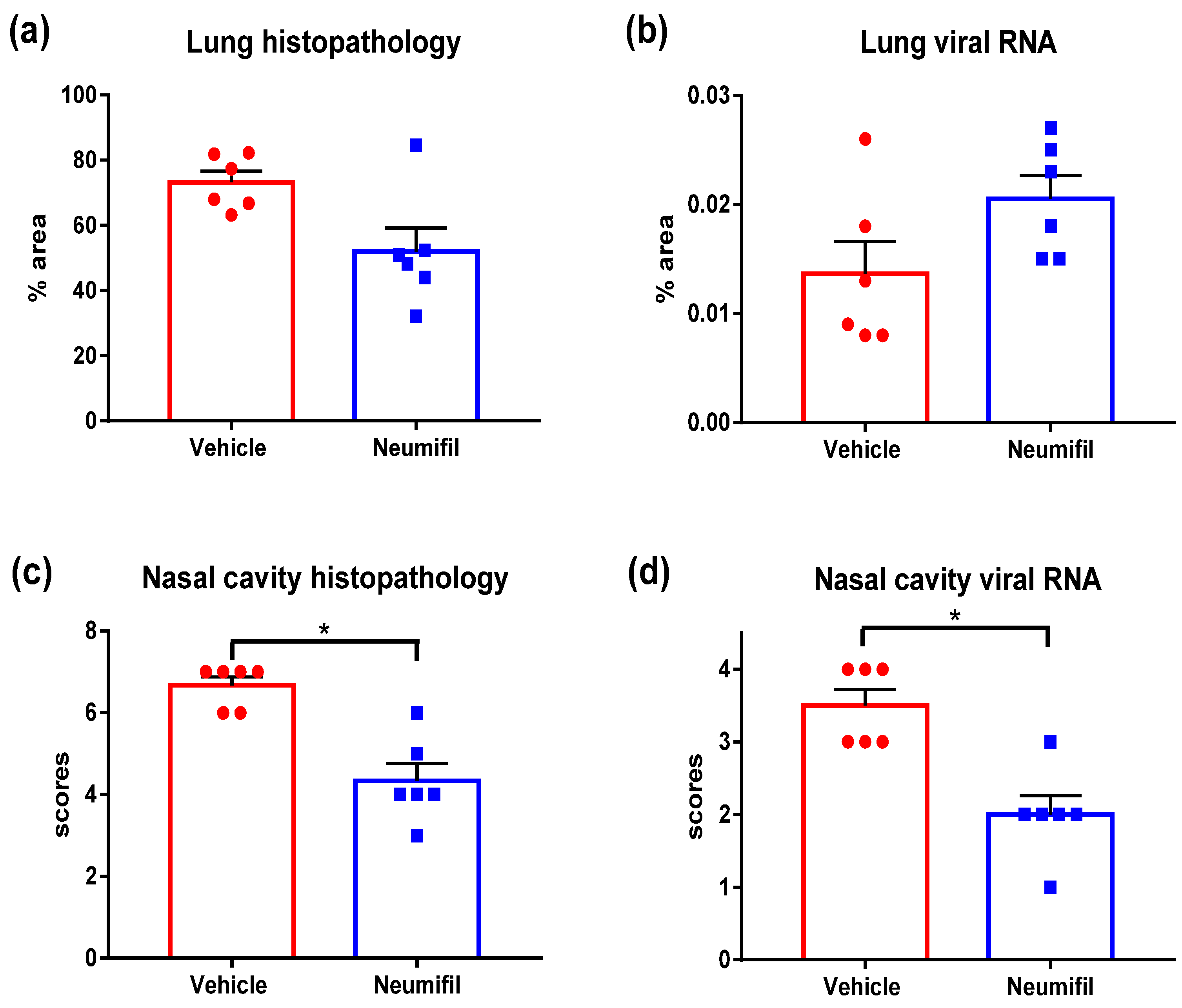 Viruses 14 00976 g004 550