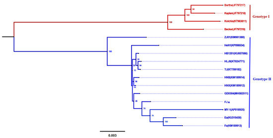 The Genetic Characterization of a Novel Natural Recombinant The Genetic Characterization of a Novel Natural Recombinant