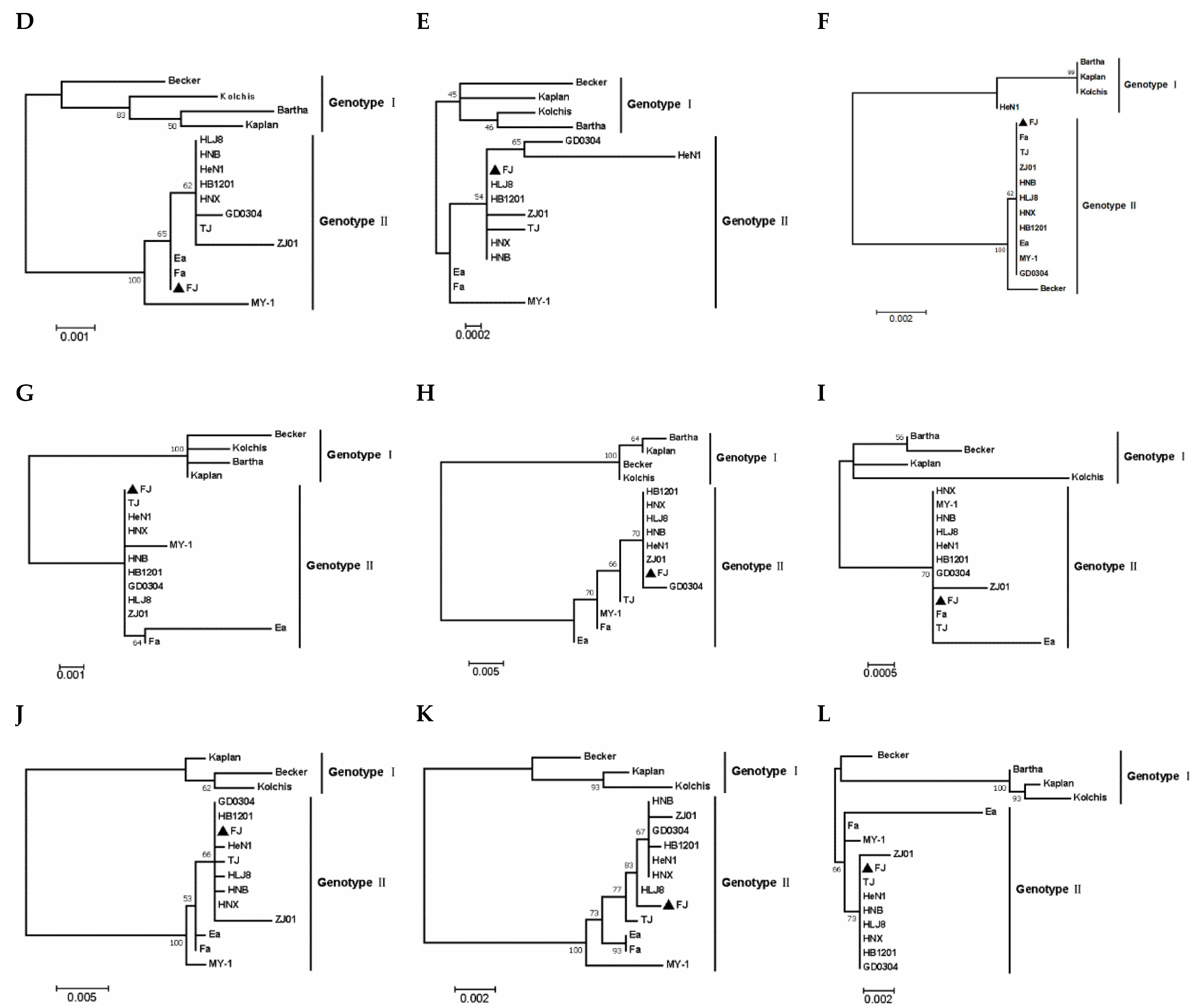 The Genetic Characterization of a Novel Natural Recombinant