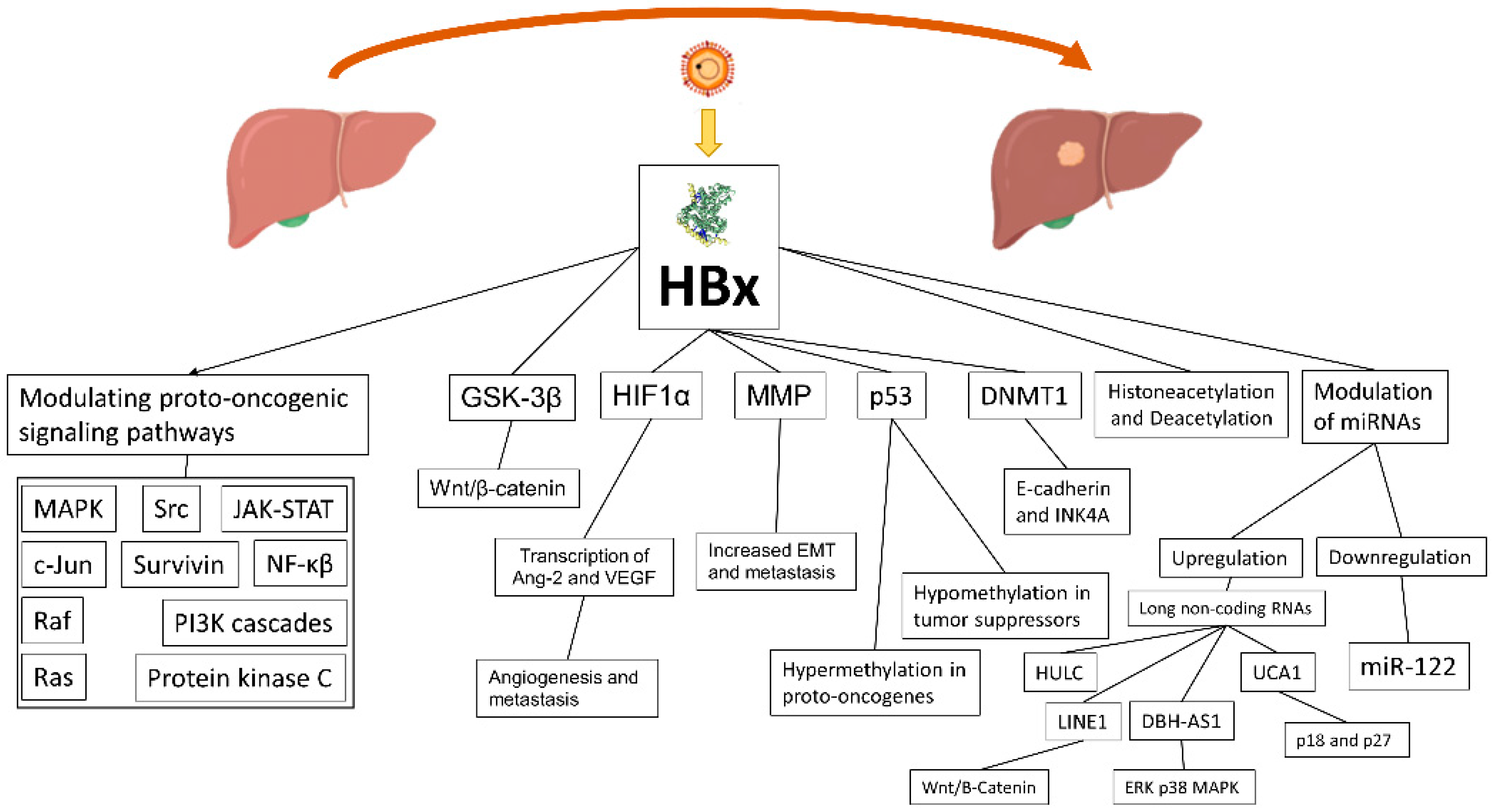 Viruses 14 00986 g001