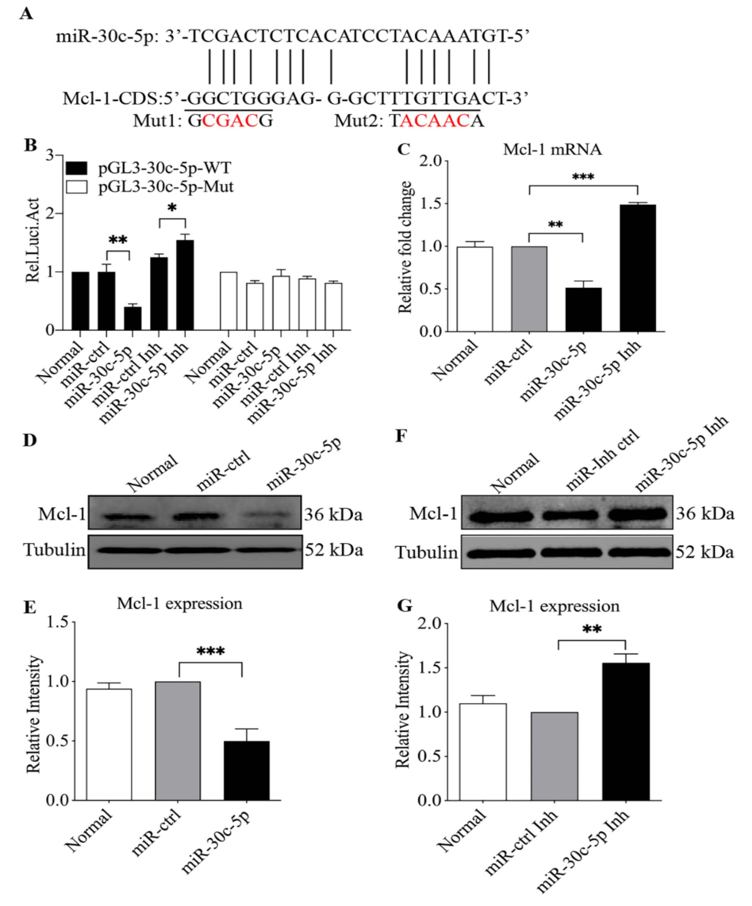Viruses 14 00990 g005