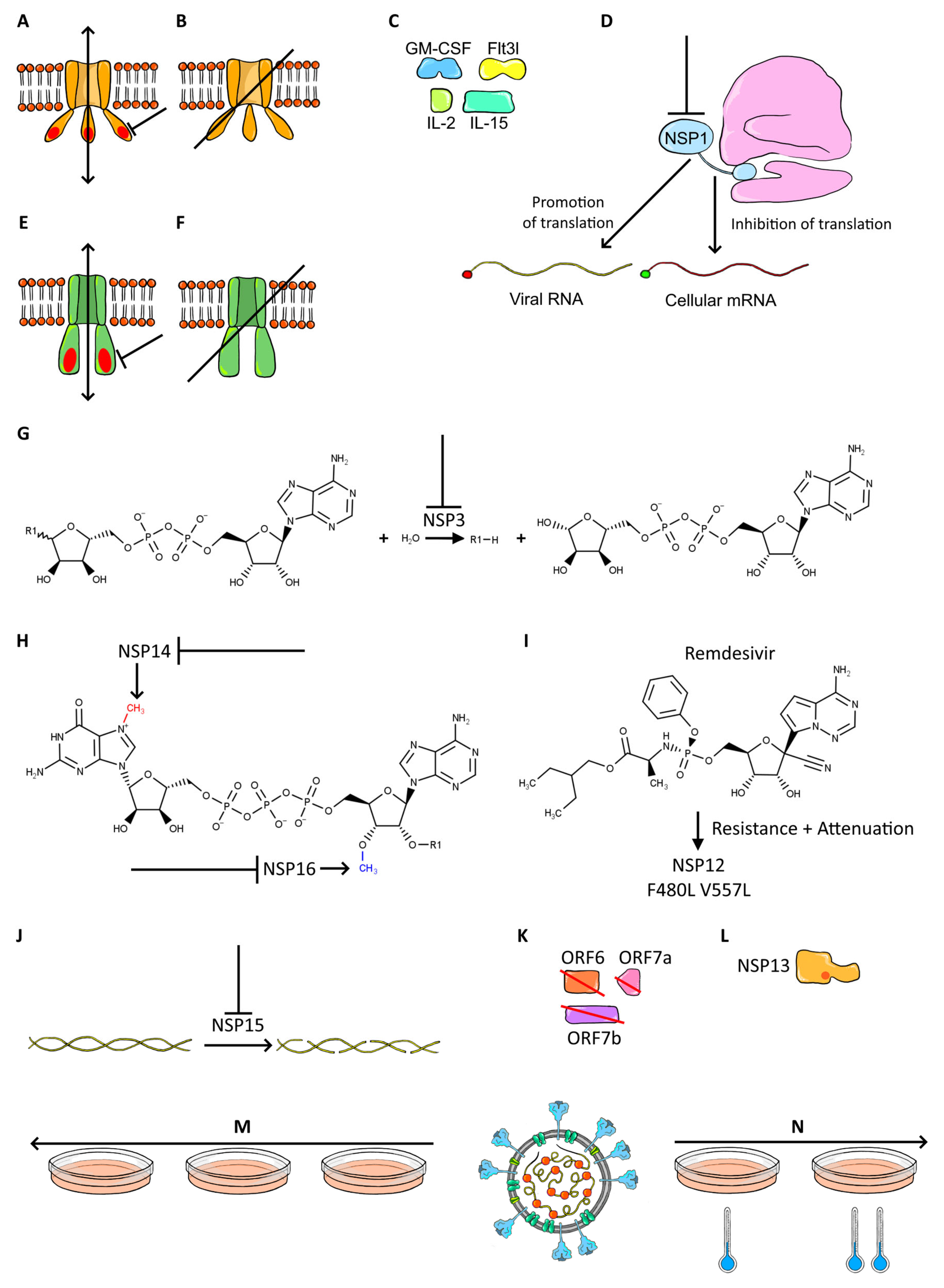 Viruses 14 00991 g002